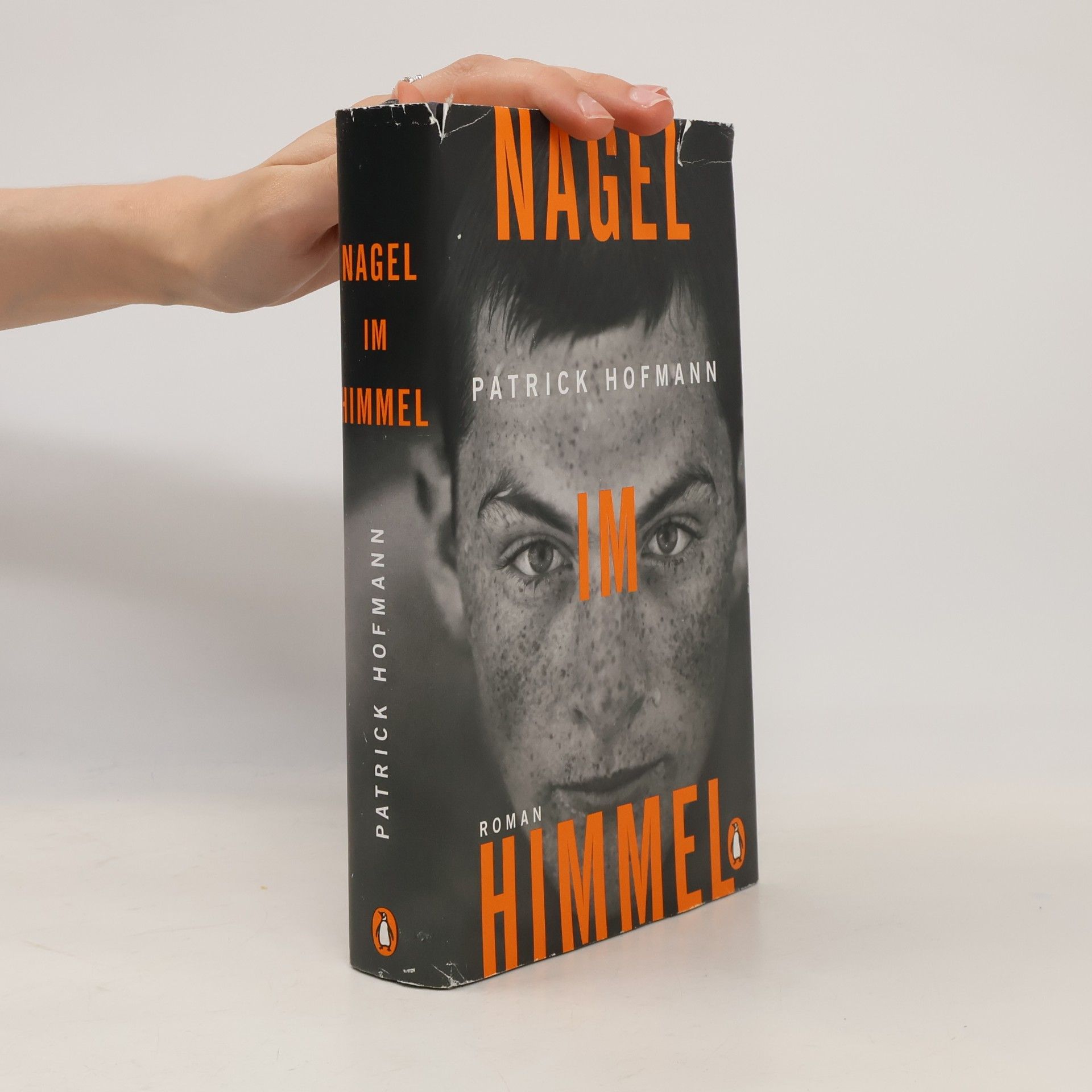 Patrick Hofmann Nagel im Himmel