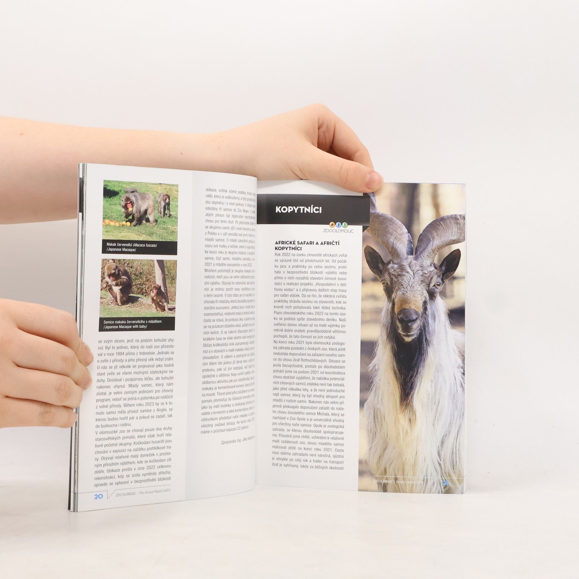 Autorenkollektiv Oko do světa divočiny. Zoologická zahrada Olomouc. Výroční zpráva 2022