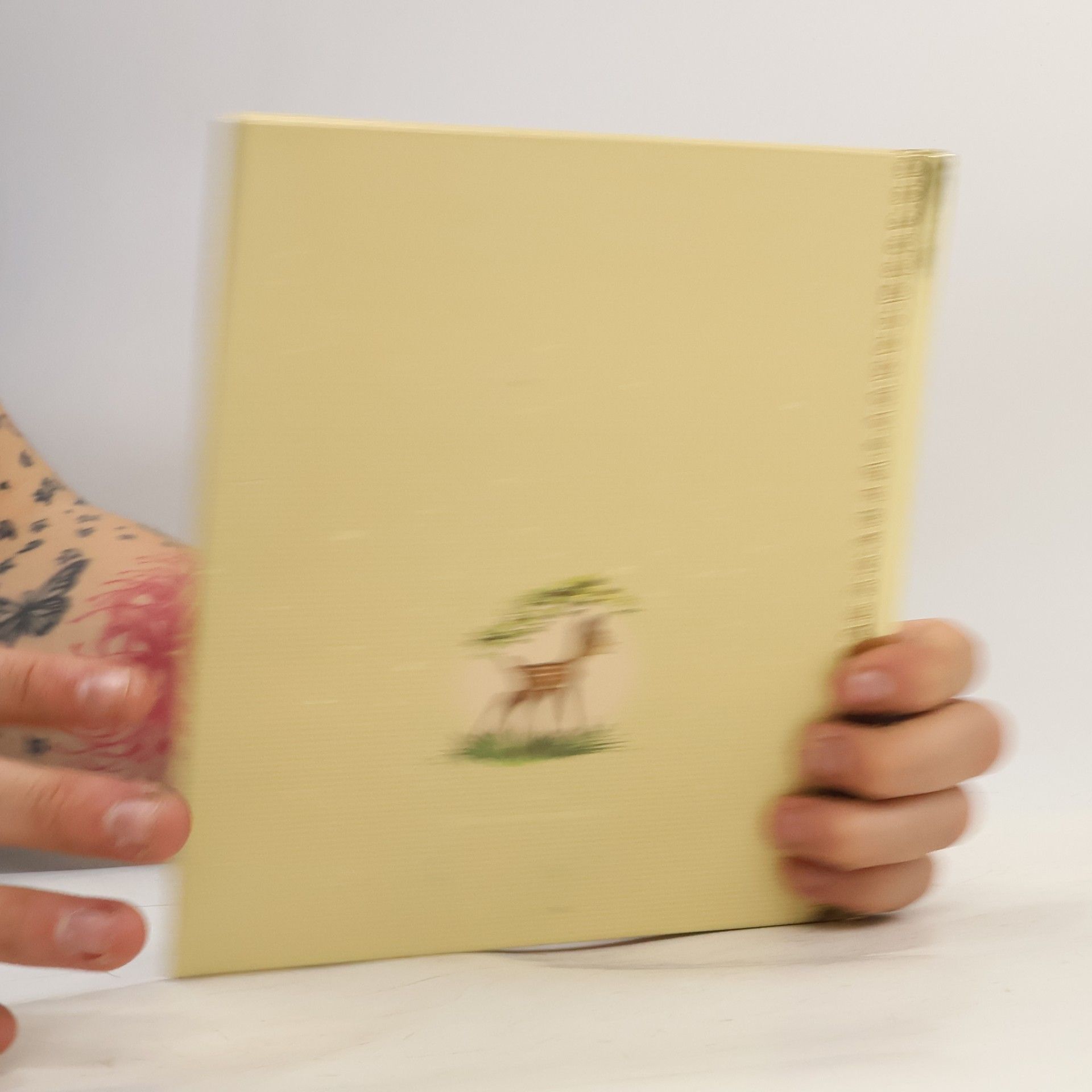 Kolektiv autorů Zlatá sbírka pohádek 4. Bambi