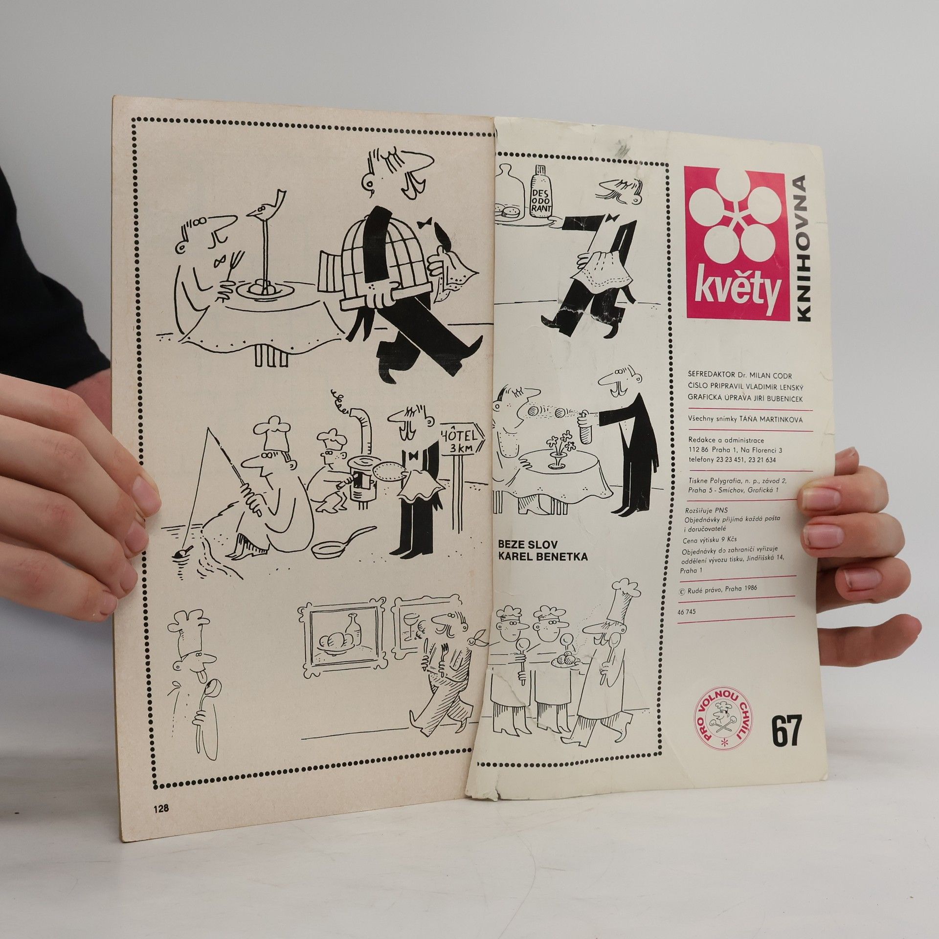 Autorenkollektiv Knihovna květů / Pro volnou chvíli 67