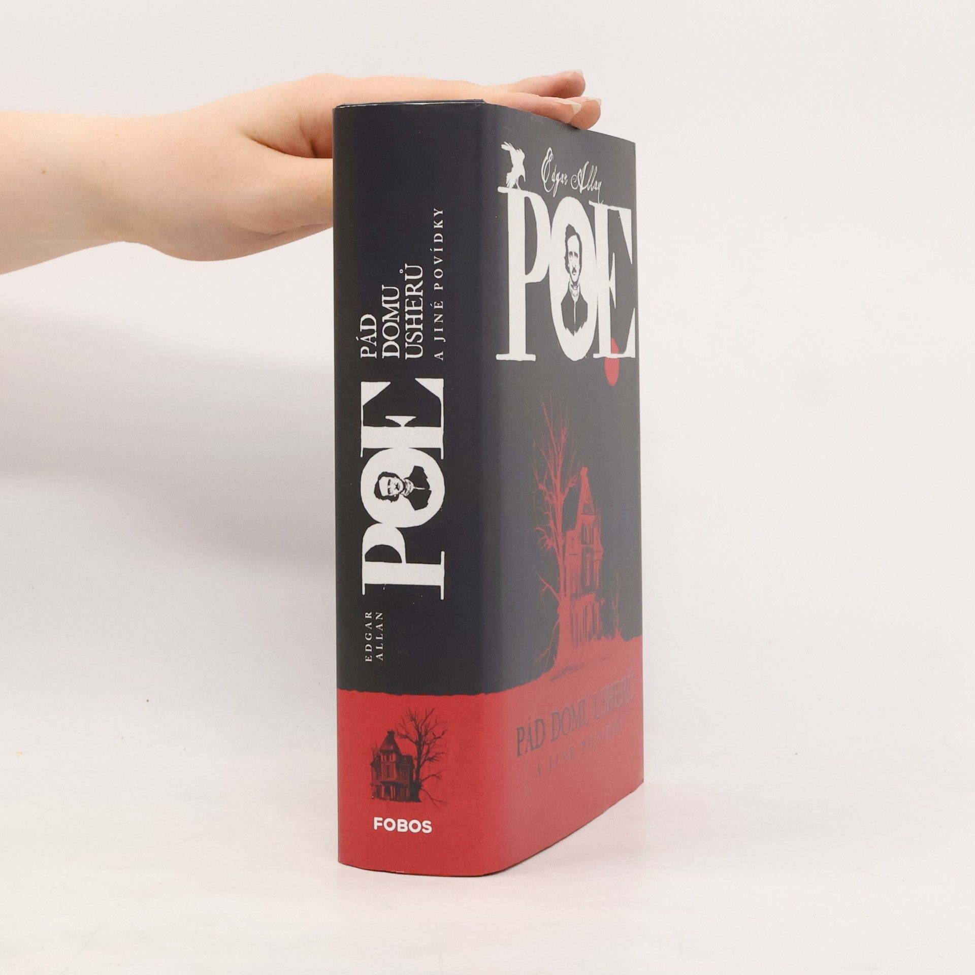 Edgar Allan Poe Pád Domu Usherů a jiné povídky