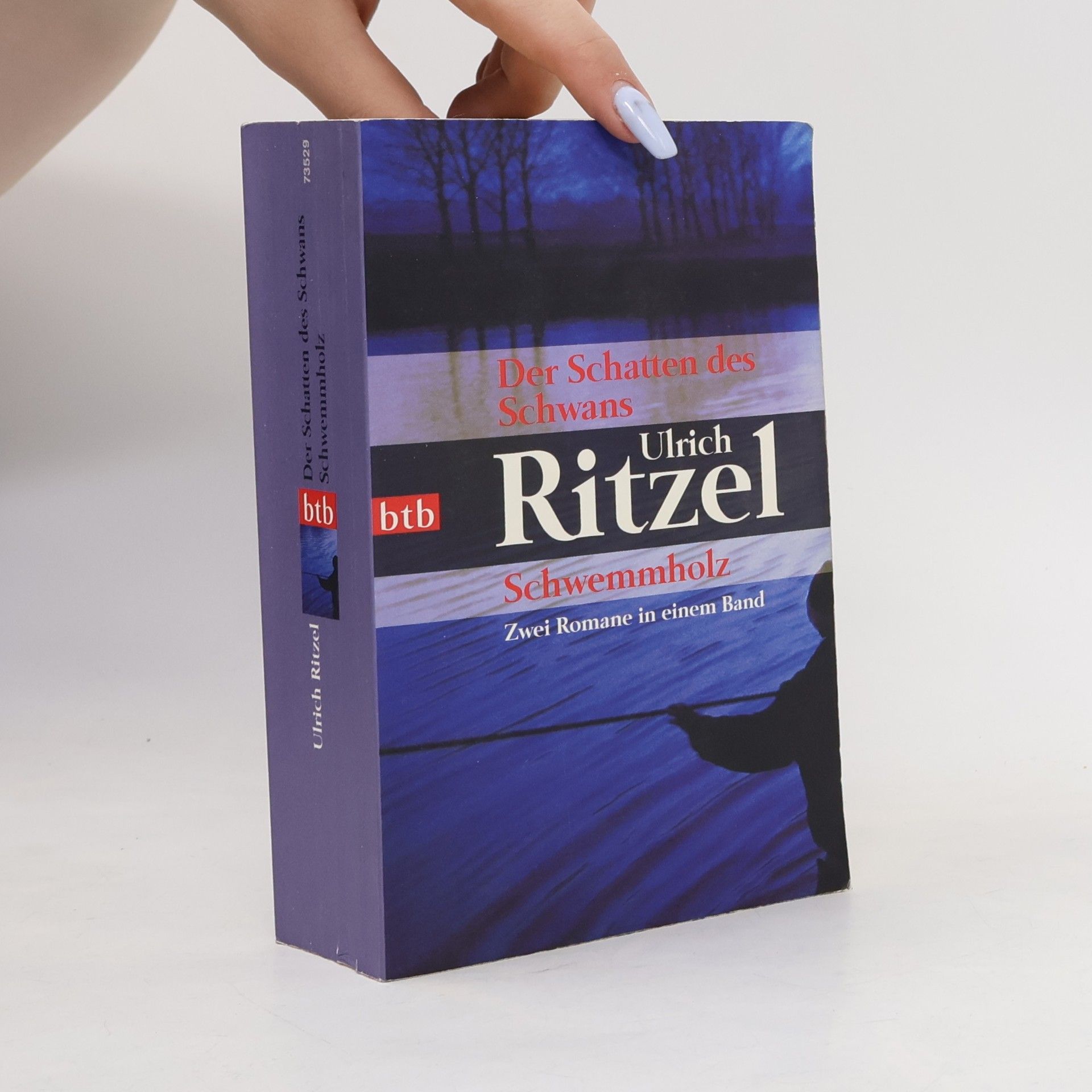 Ulrich Ritzel Der Schatten des Schwans