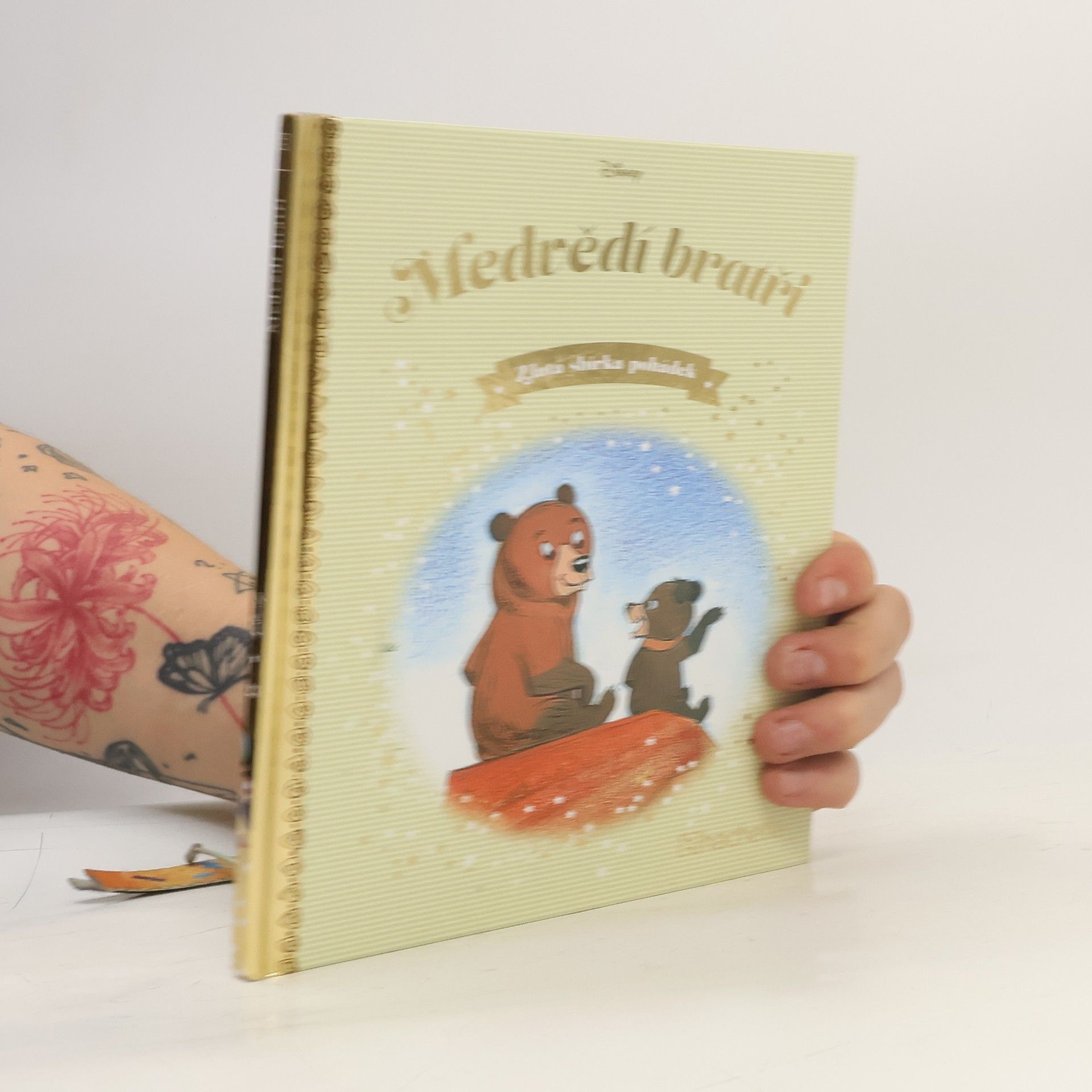 Autorenkollektiv Zlatá sbírka pohádek 23. Medvědí bratři