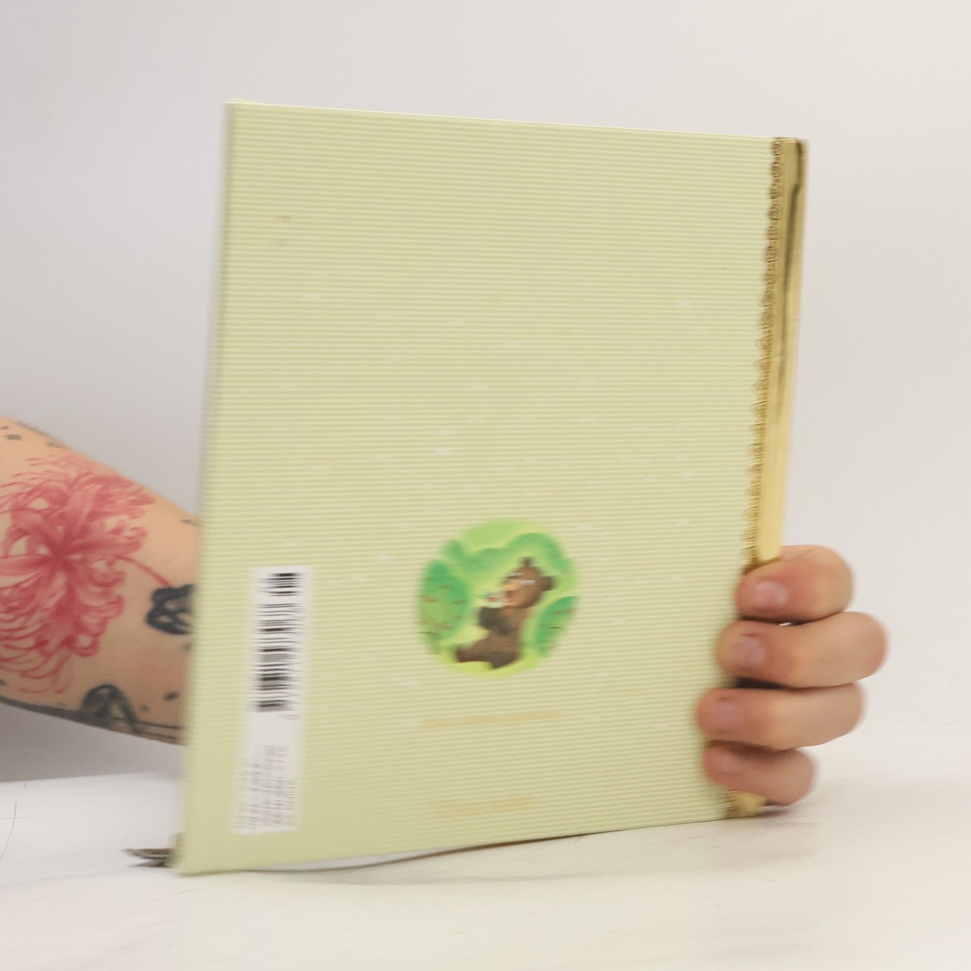 Autorenkollektiv Zlatá sbírka pohádek 23. Medvědí bratři