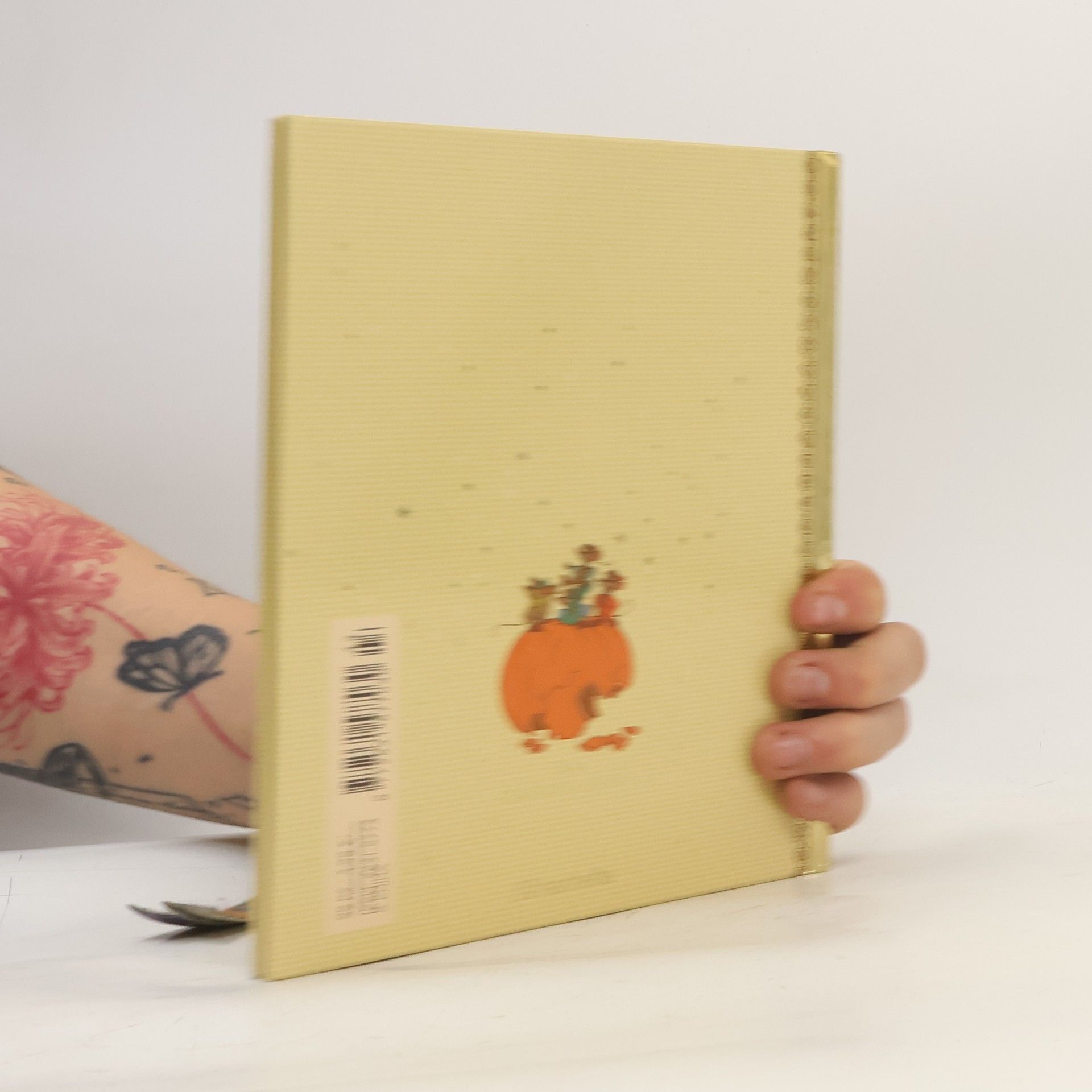 Kolektiv autorů Zlatá sbírka pohádek 9. Popelka
