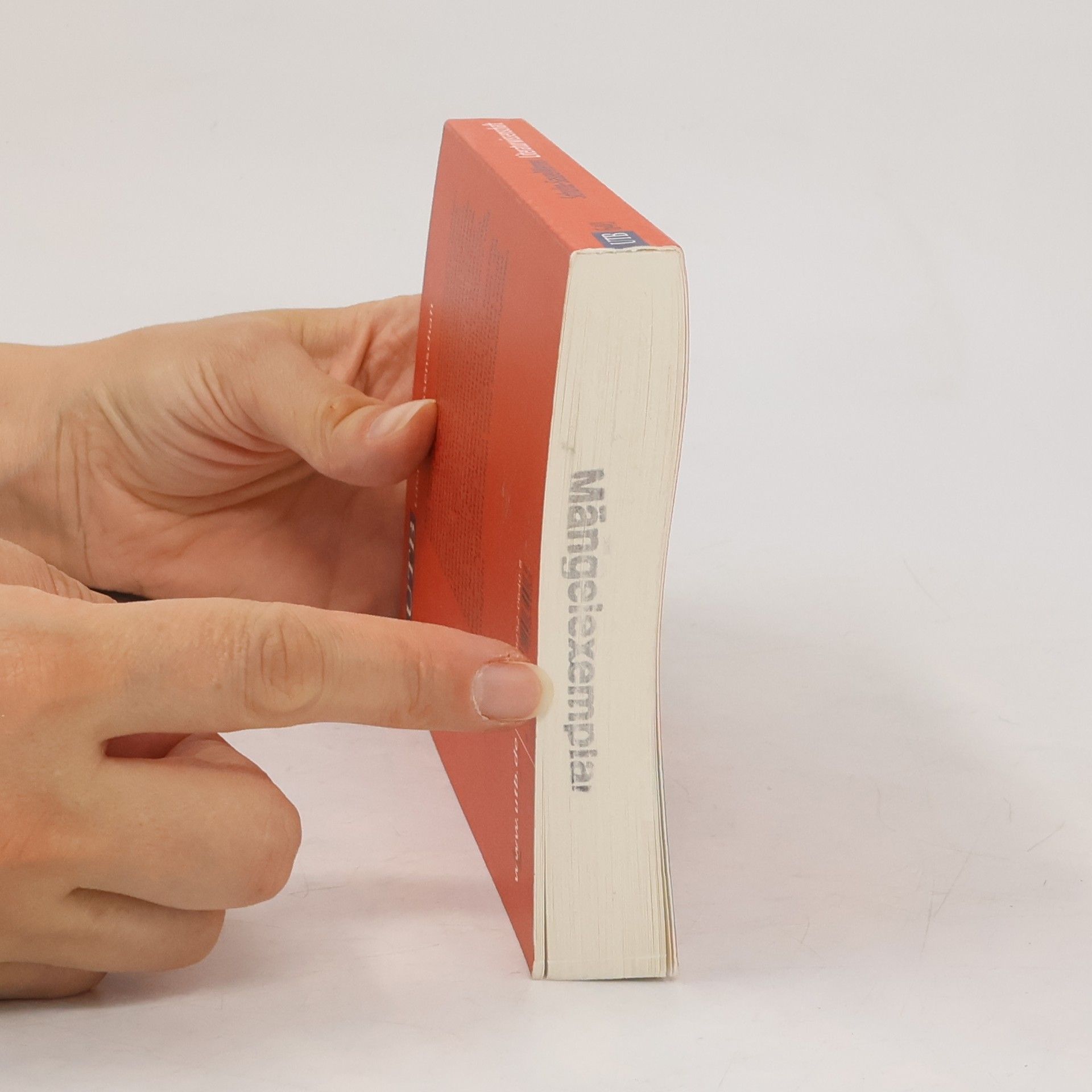 Renate Werner Einführung in die Literaturwissenschaft