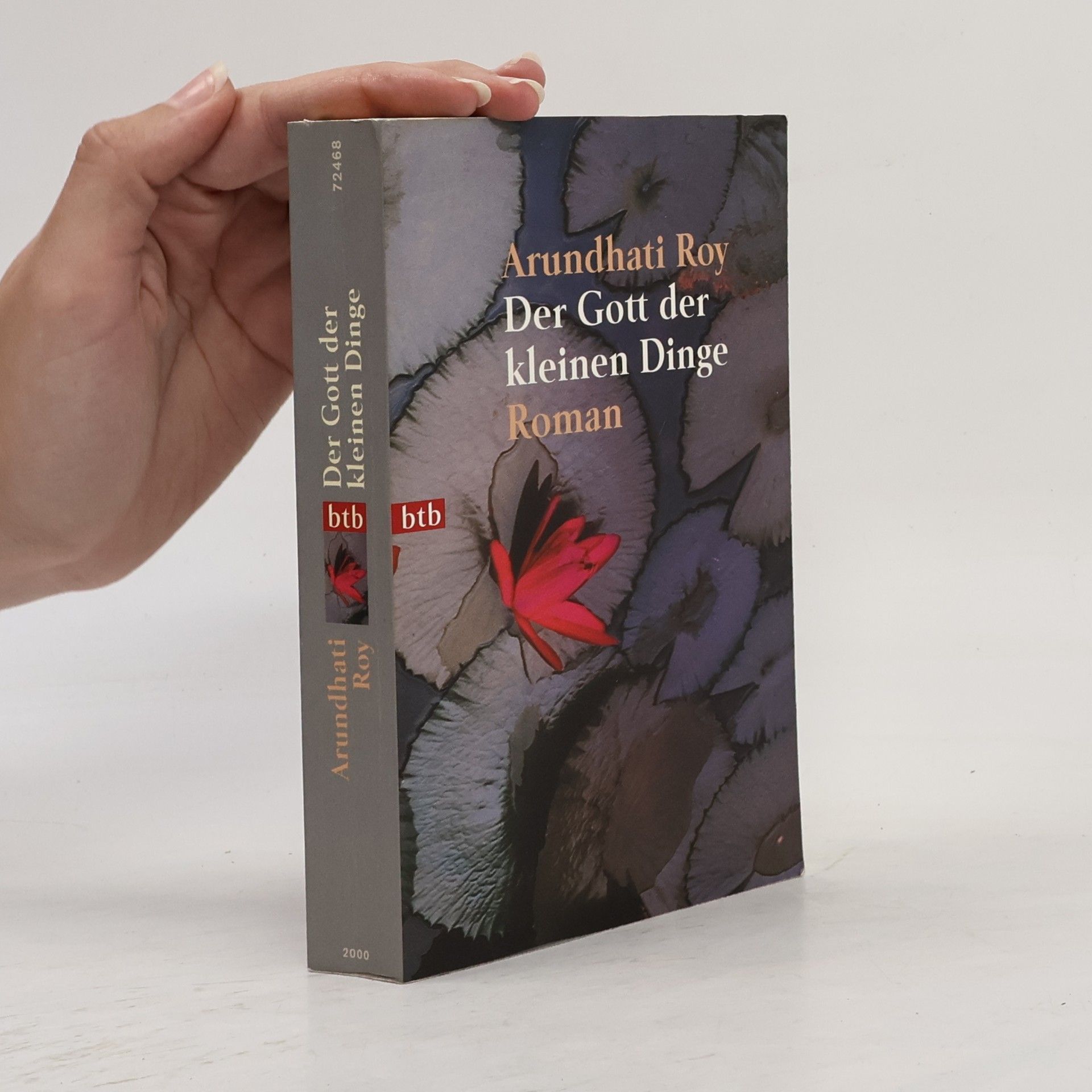 Arundhati Roy Der Gott der kleinen Dinge
