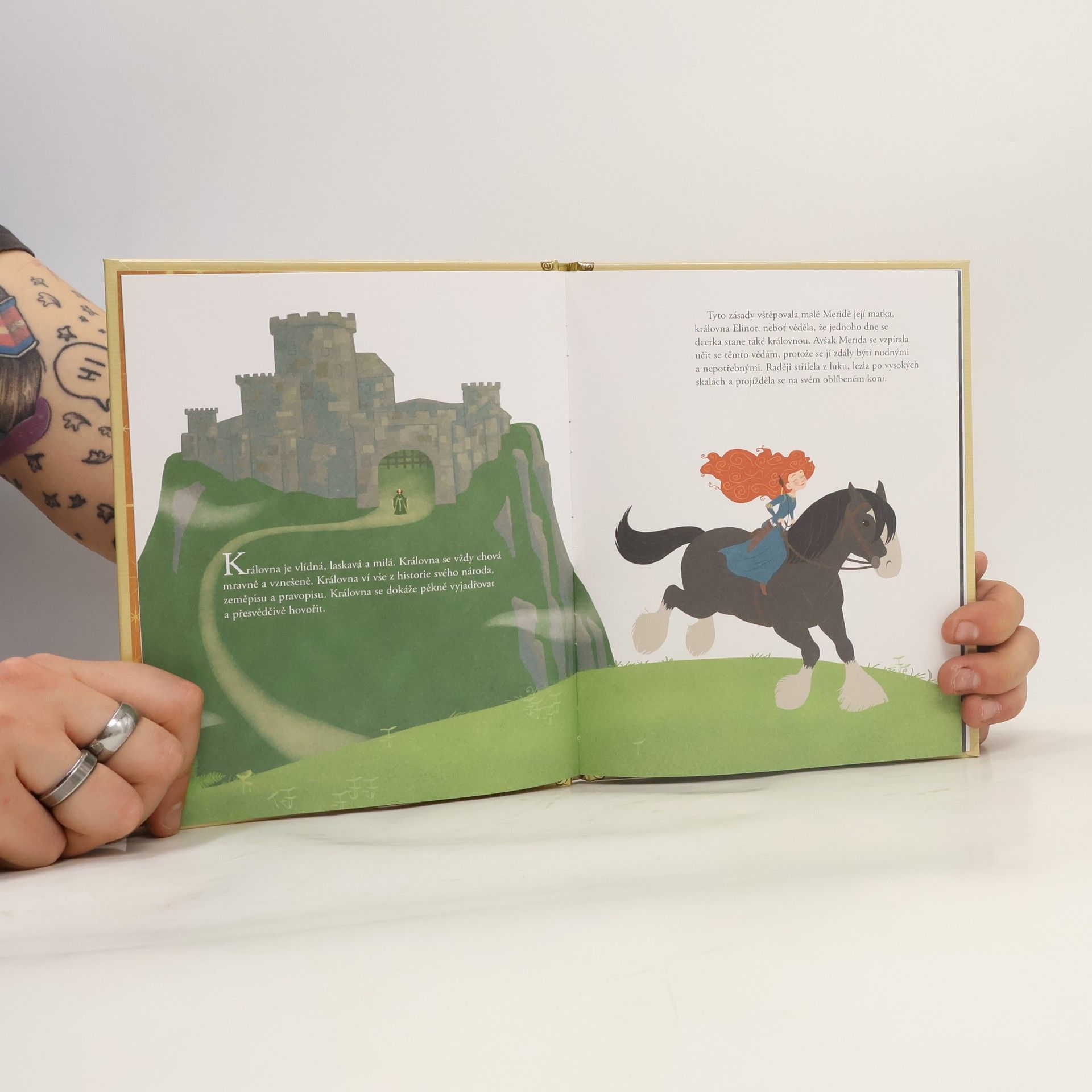 Autorenkollektiv Zlatá sbírka pohádek 21. Rebelka