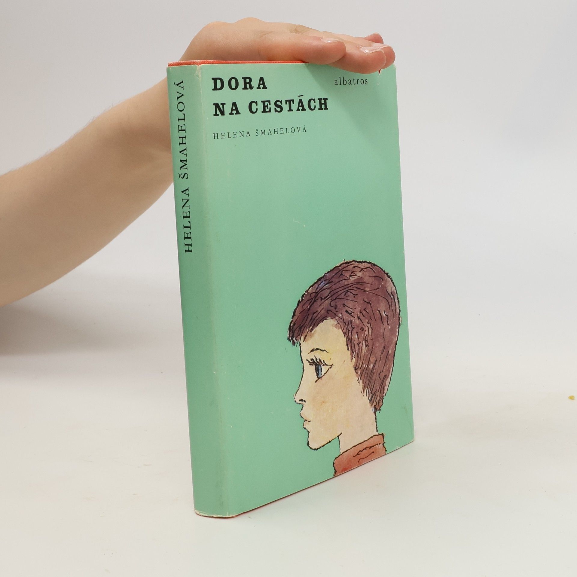 Helena Šmahelová Dora na cestách