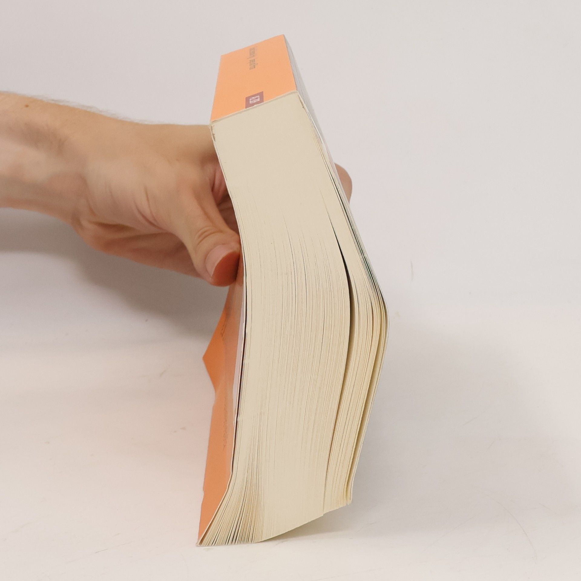 Dorothea Elisabeth Schulz Prisma und Spiegel: Festschrift für Ute Luig