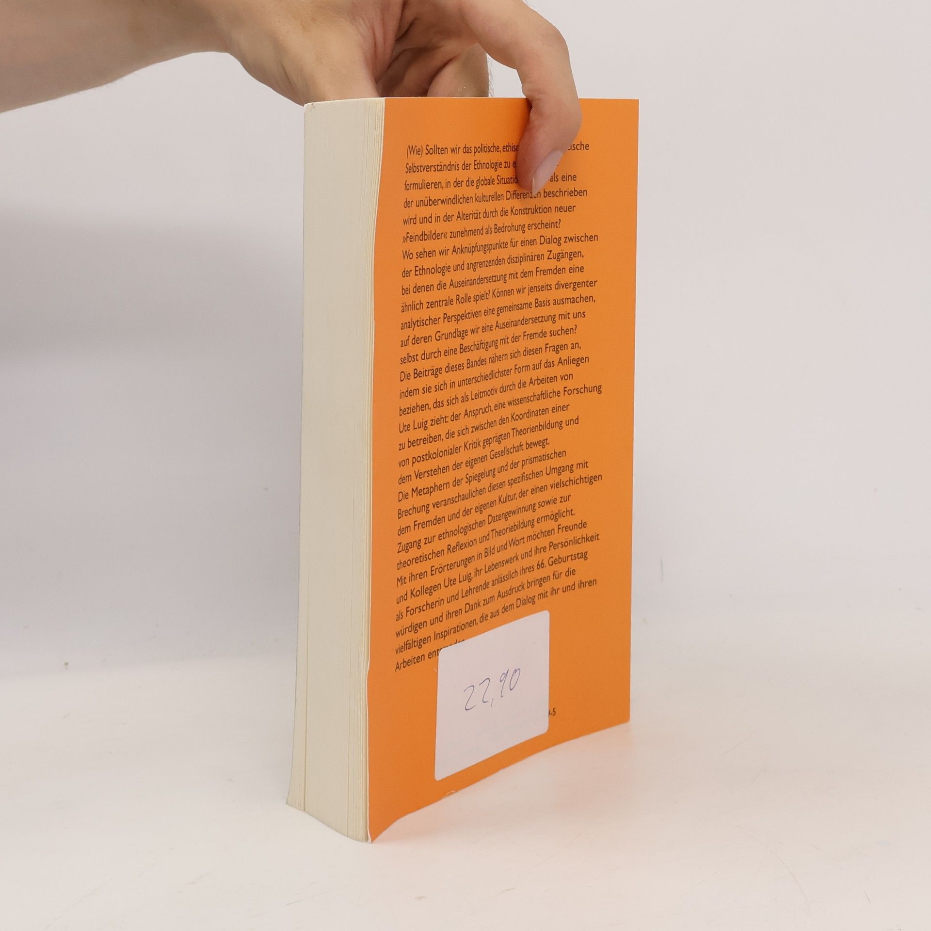 Dorothea Elisabeth Schulz Prisma und Spiegel: Festschrift für Ute Luig