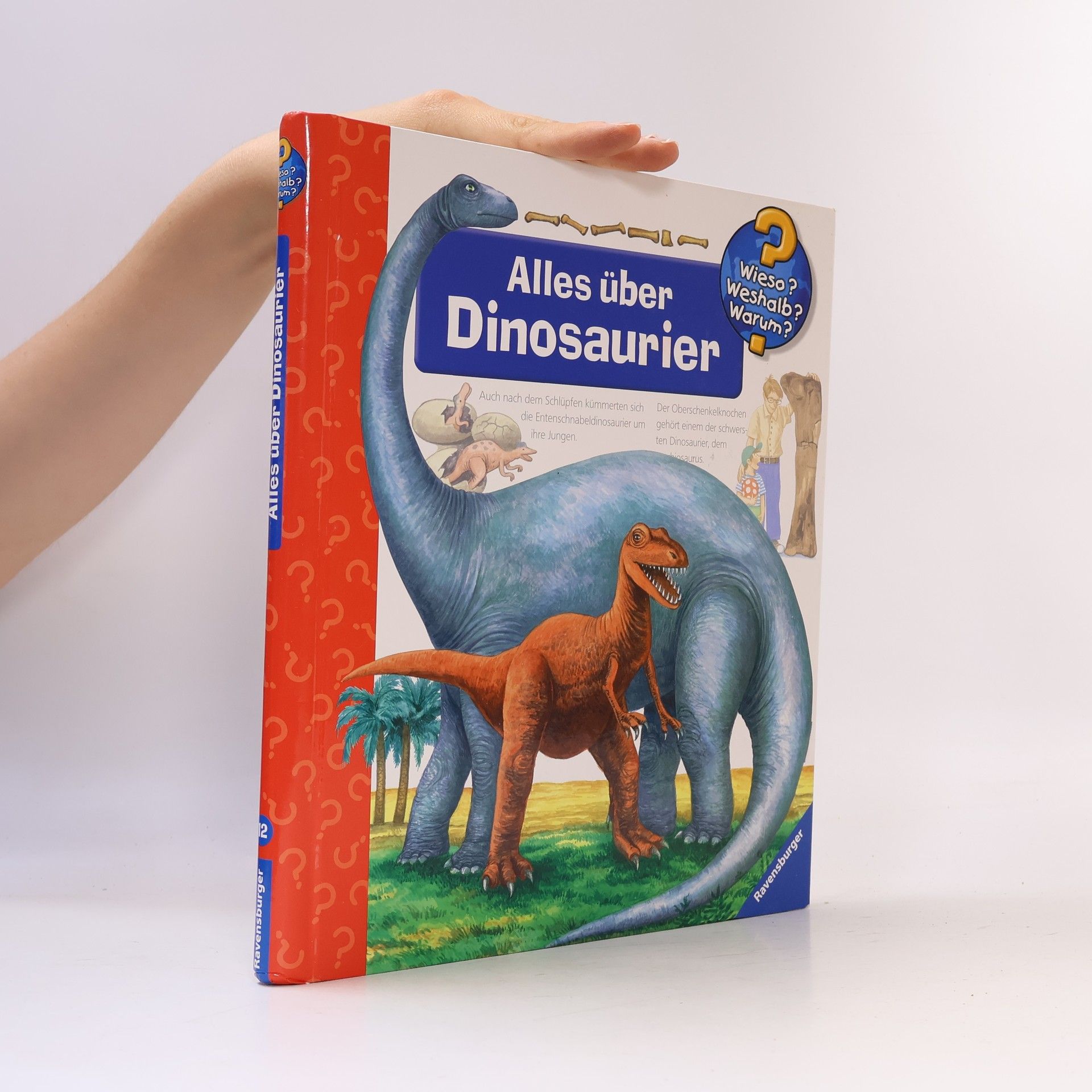 Patricia Mennen Alles über Dinosaurier