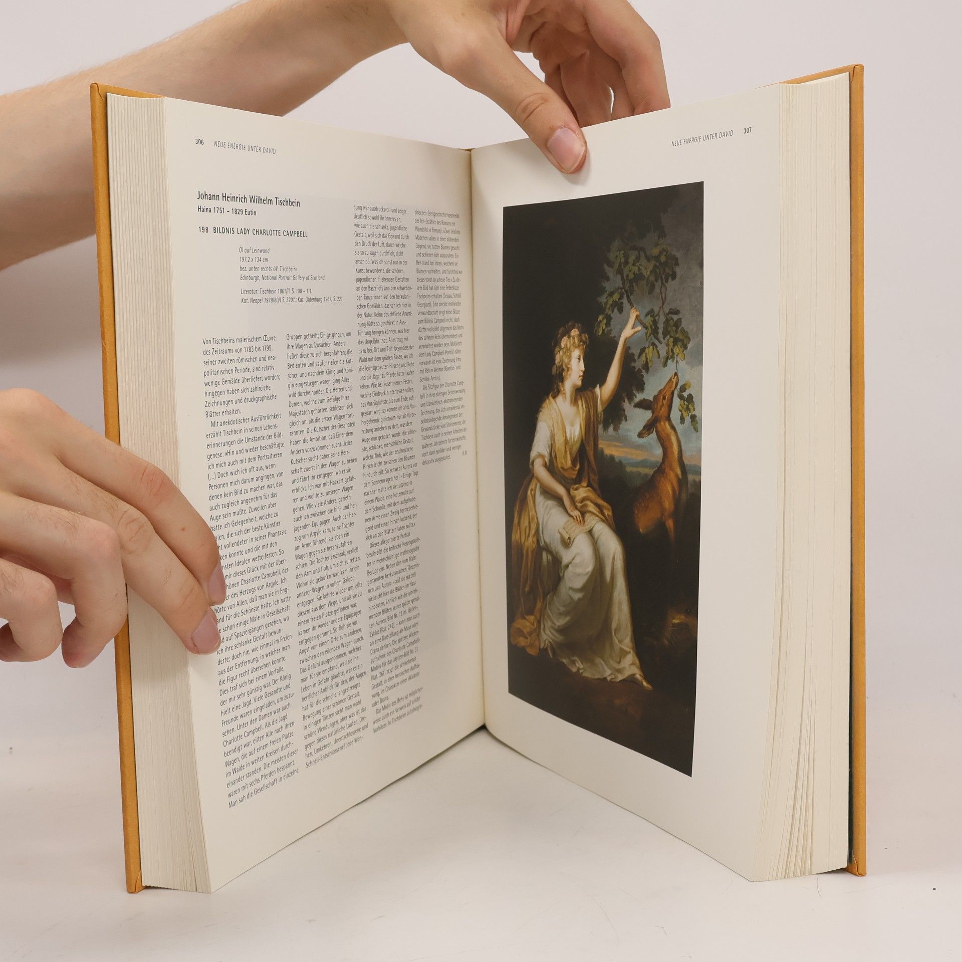 Sabine Schulze Goethe und die Kunst