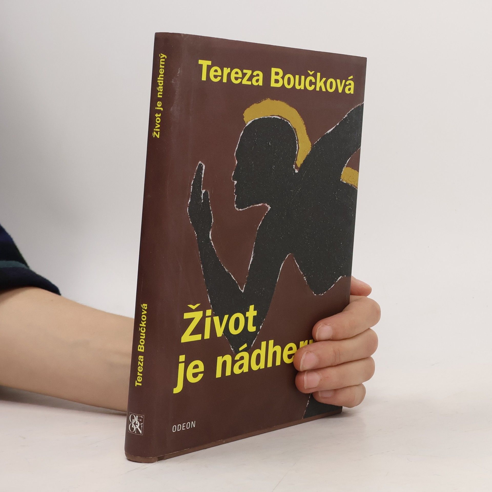 Tereza Boučková Život je nádherný