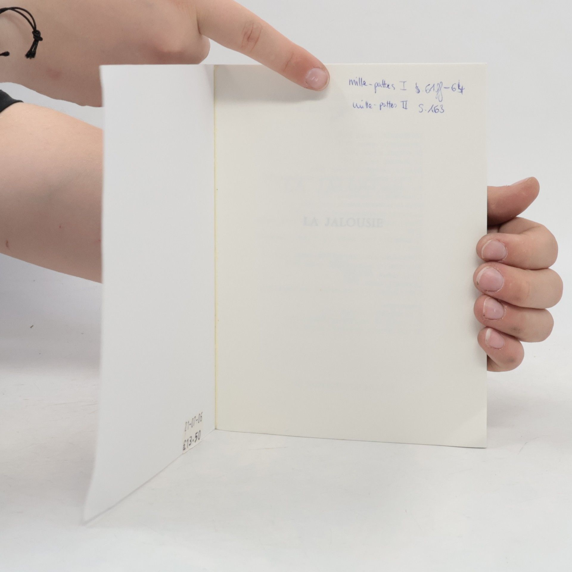 Alain Robbe Grillet La Jalousie