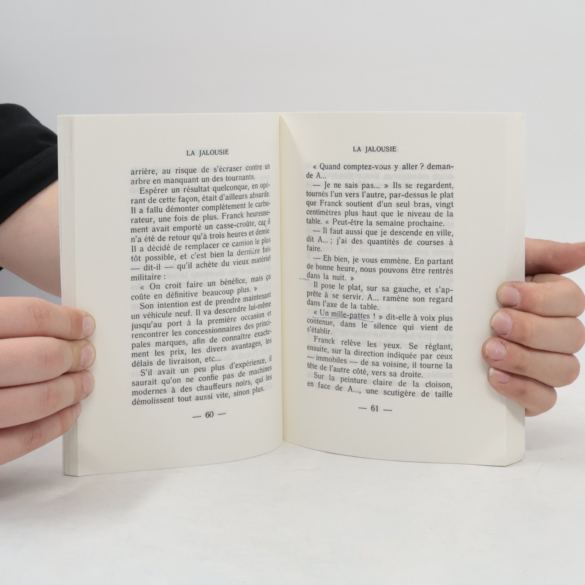 Alain Robbe Grillet La Jalousie