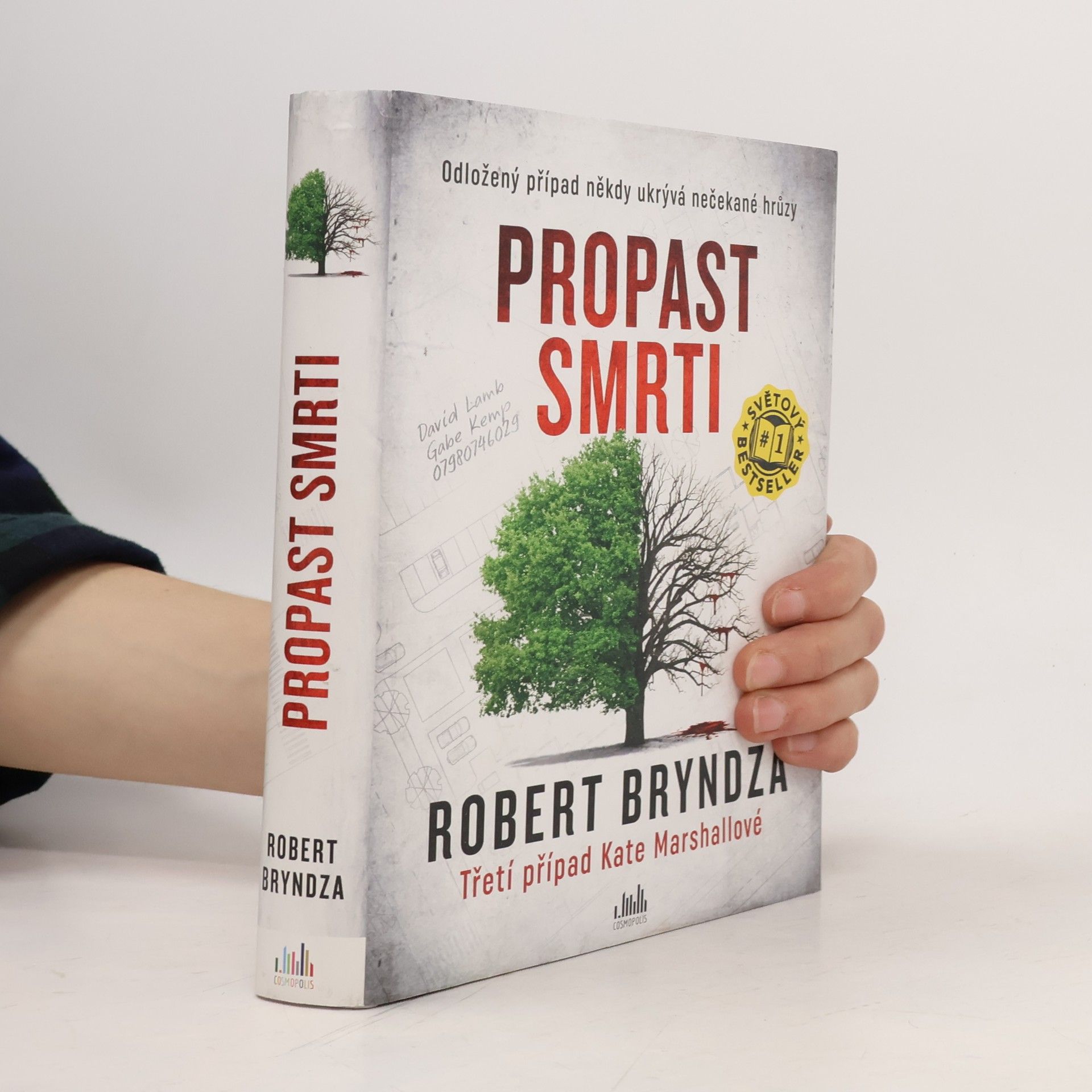 Robert Bryndza Propast smrti