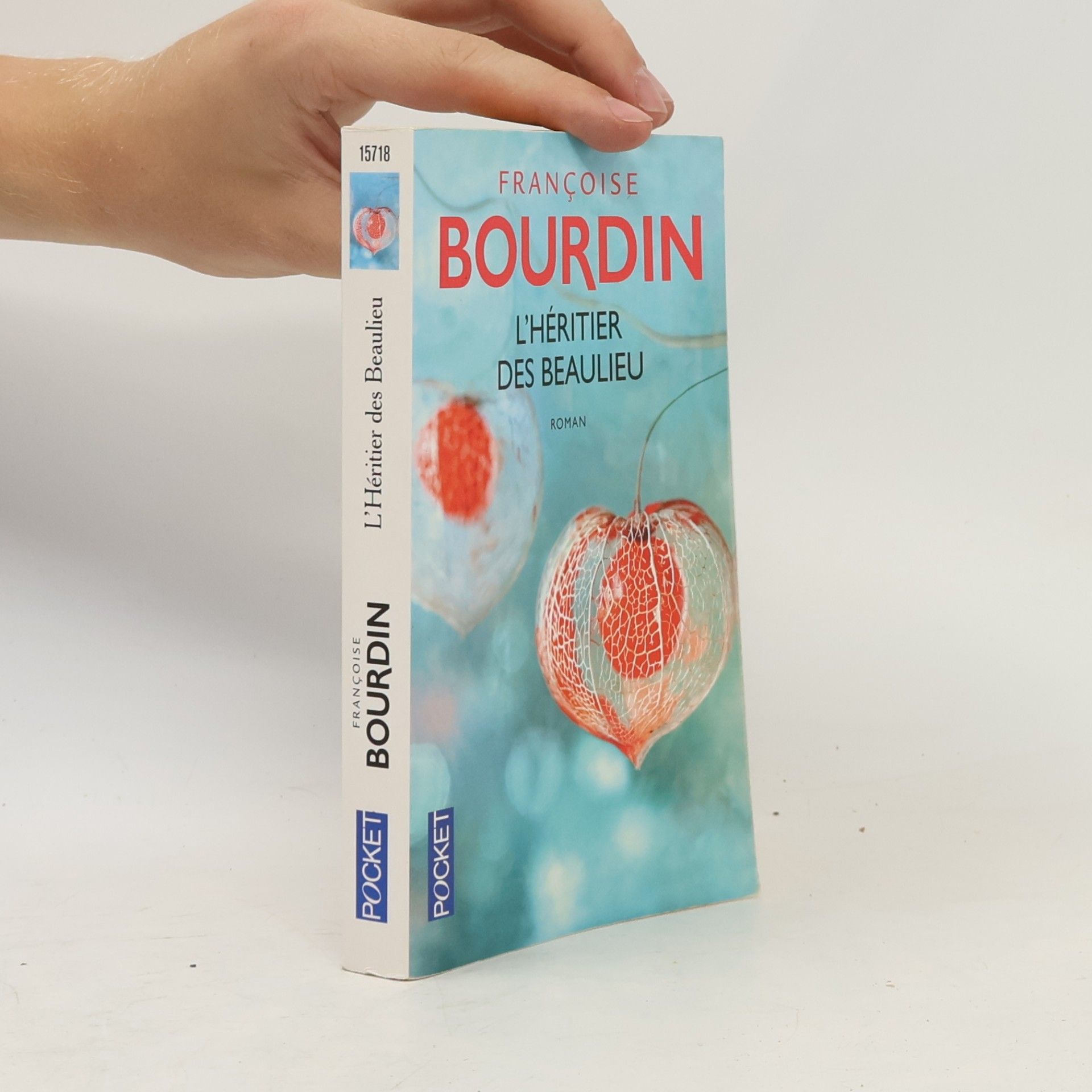 Françoise Bourdin L'héritier des Beaulieu