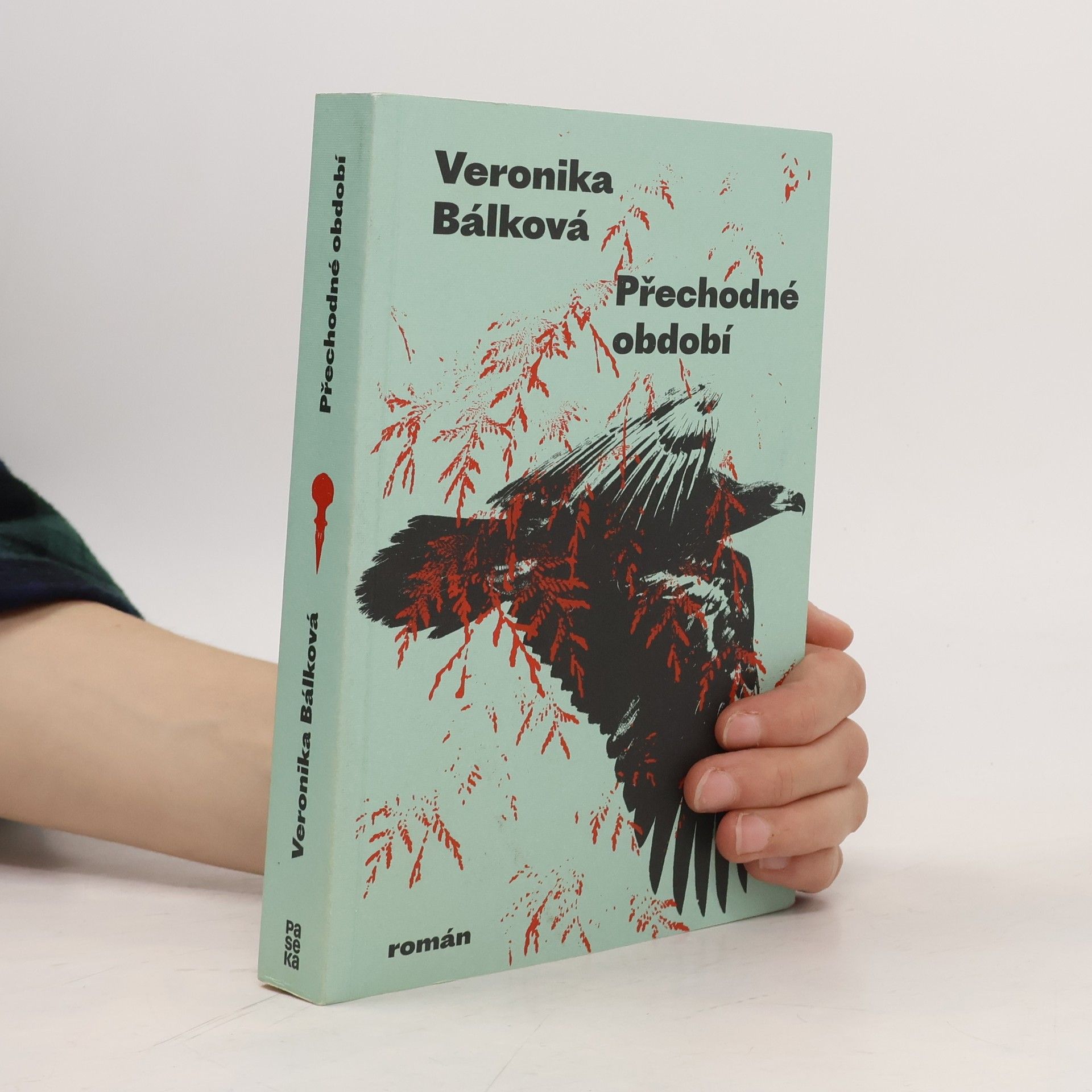 Veronika Bálková Přechodné období