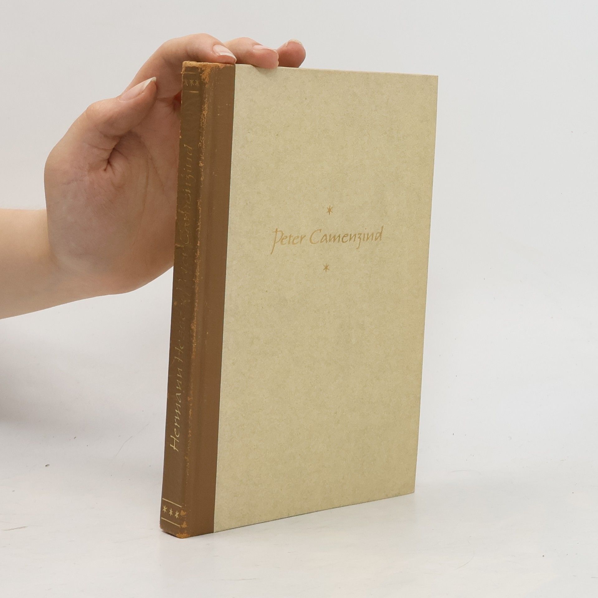 Collectif d'auteurs Peter Camenzind