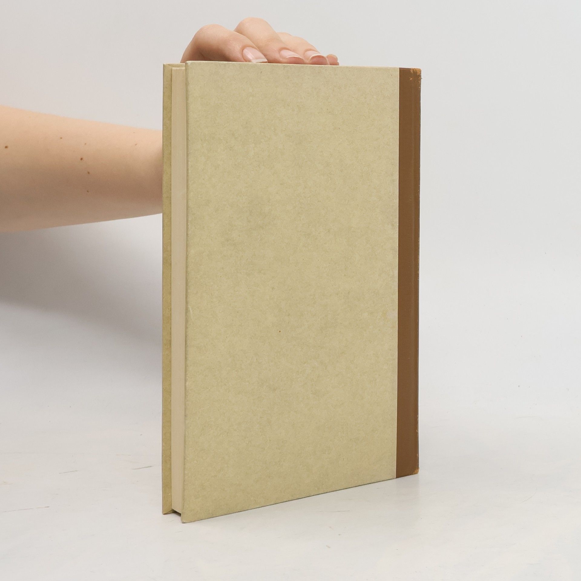 Collectif d'auteurs Peter Camenzind