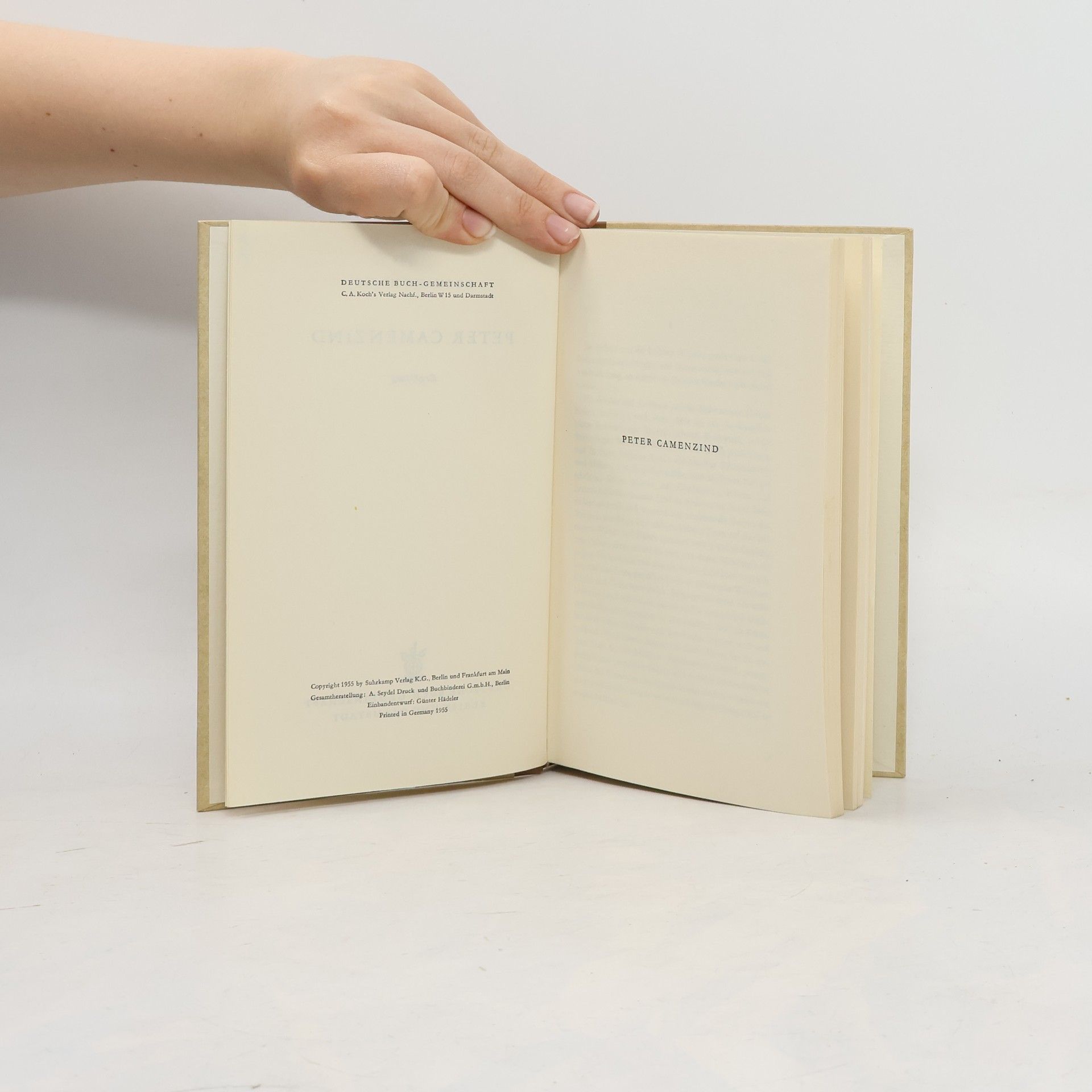 Collectif d'auteurs Peter Camenzind