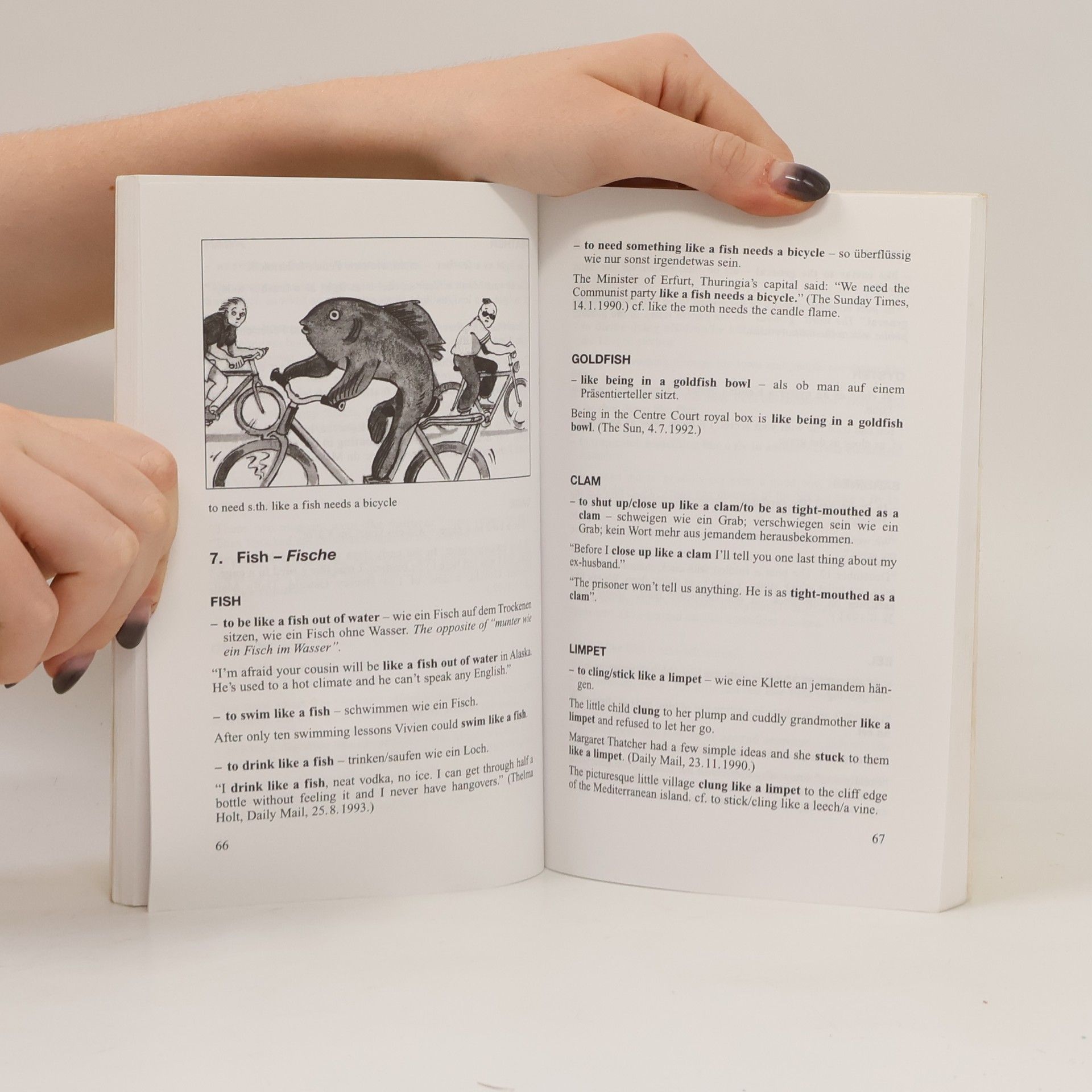Daphne M. Gulland Langenscheidt bildliche Redewendungen Englisch