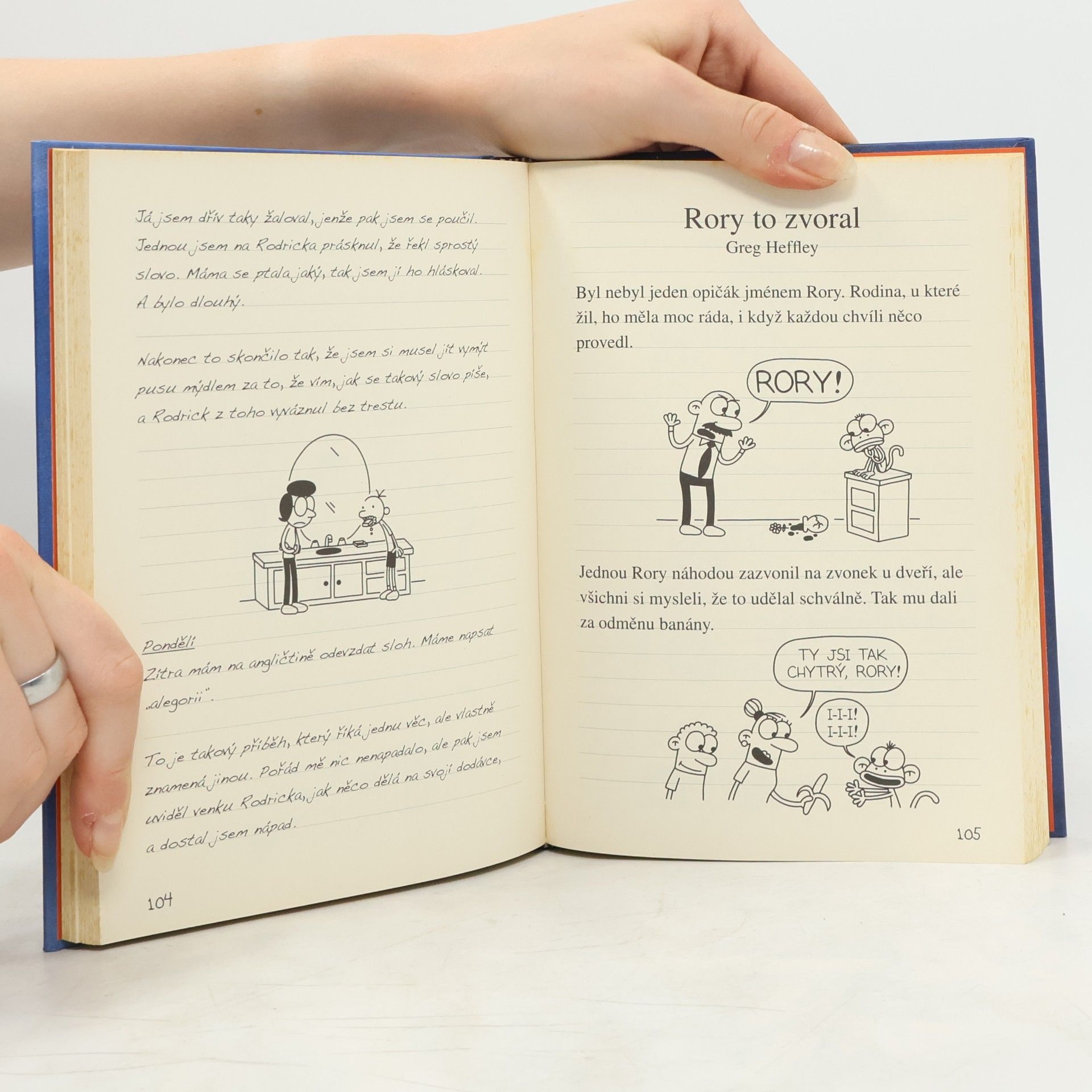 Jeff Kinney Deník malého poseroutky 2. Rodrick je king