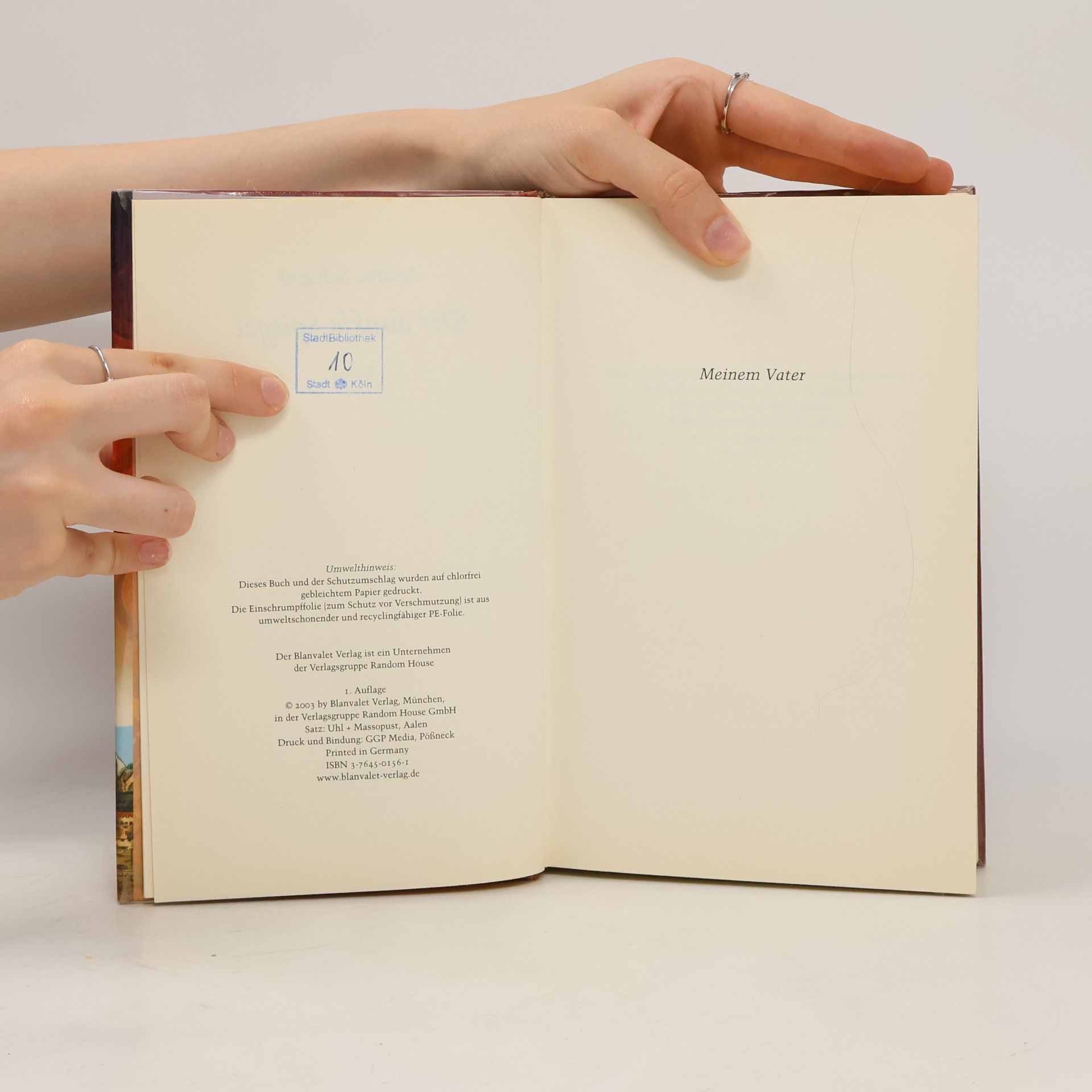 Andrea Schacht Der dunkle Spiegel