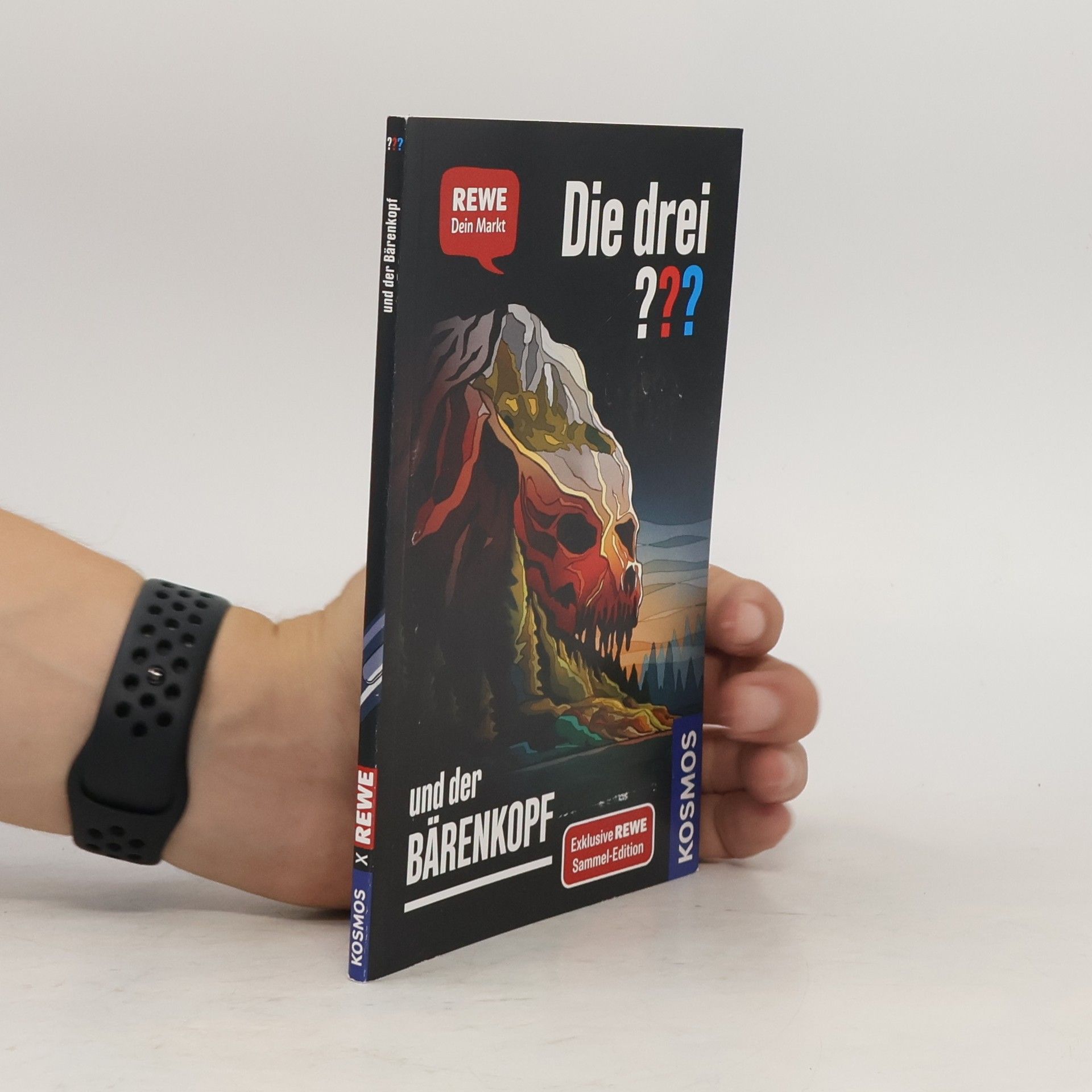 Andreas Ruch Die drei ??? und der Bärenkopf