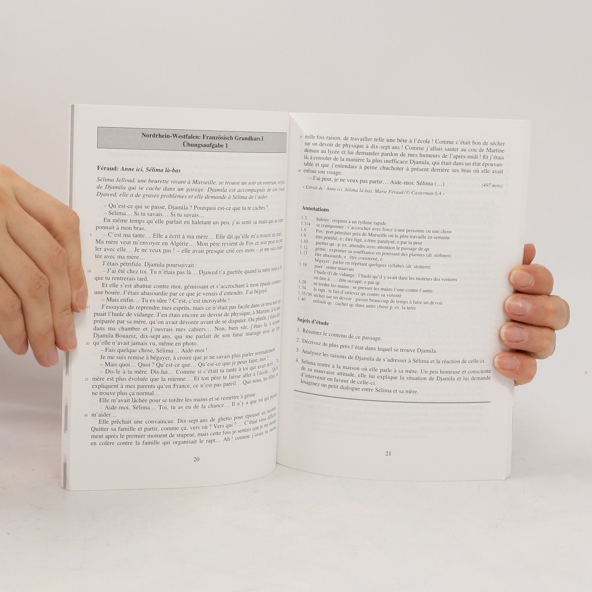 Autorenkollektiv Abitur. Prüfungsaufgaben mit Lösungen. Französisch