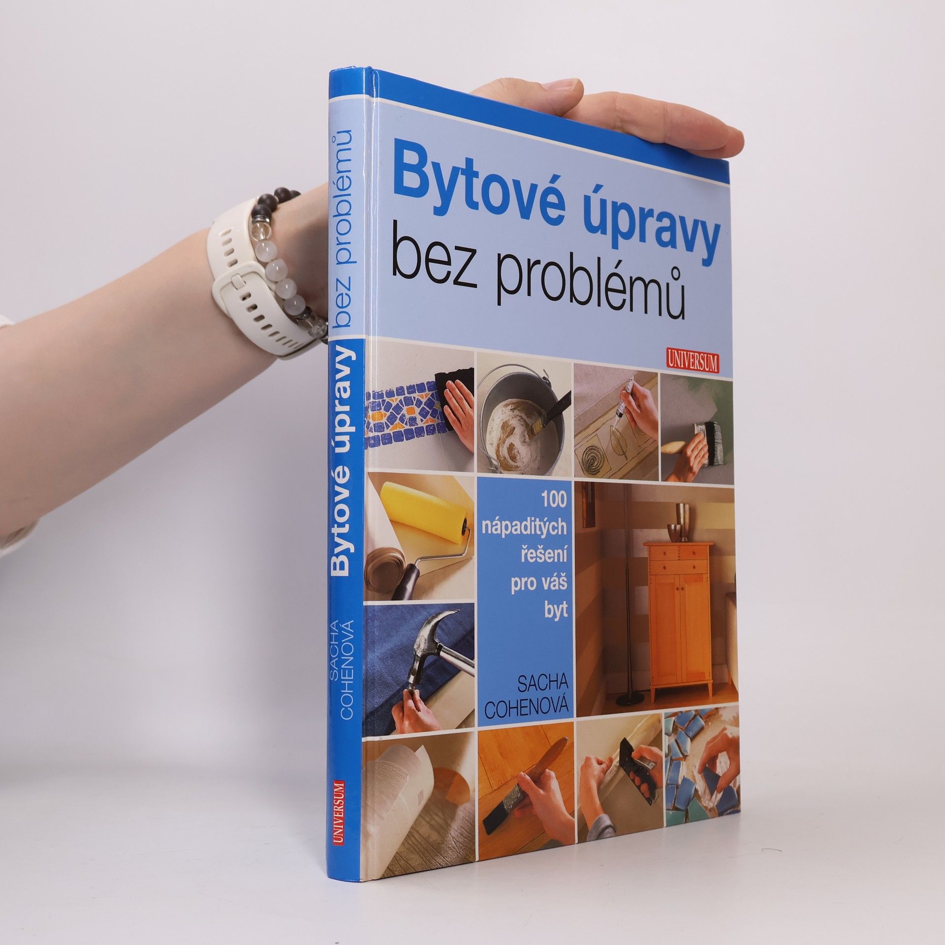 Sacha Cohen Bytové úpravy bez problémů. 100 nápaditých řešení pro váš byt