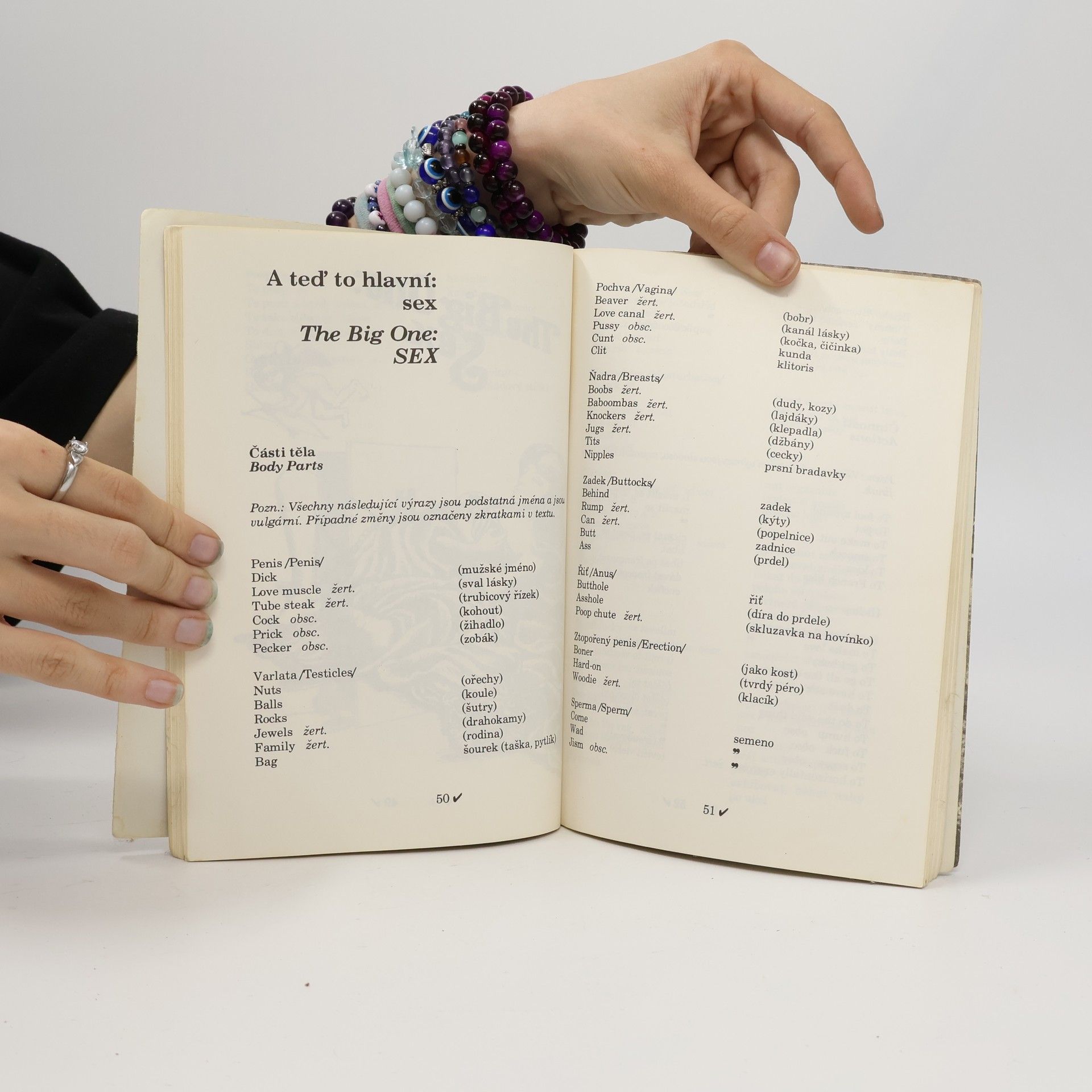 Sinclair Nicholas Wang-Dang American Slang. Wang-Dang Americký slang