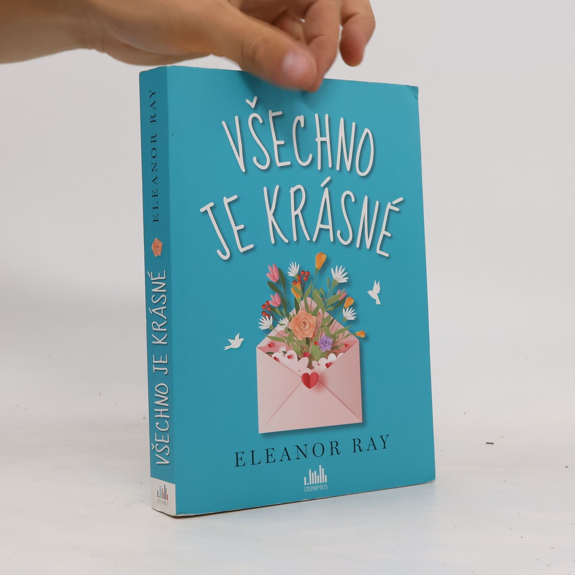 Eleanor Ray Všechno je krásné