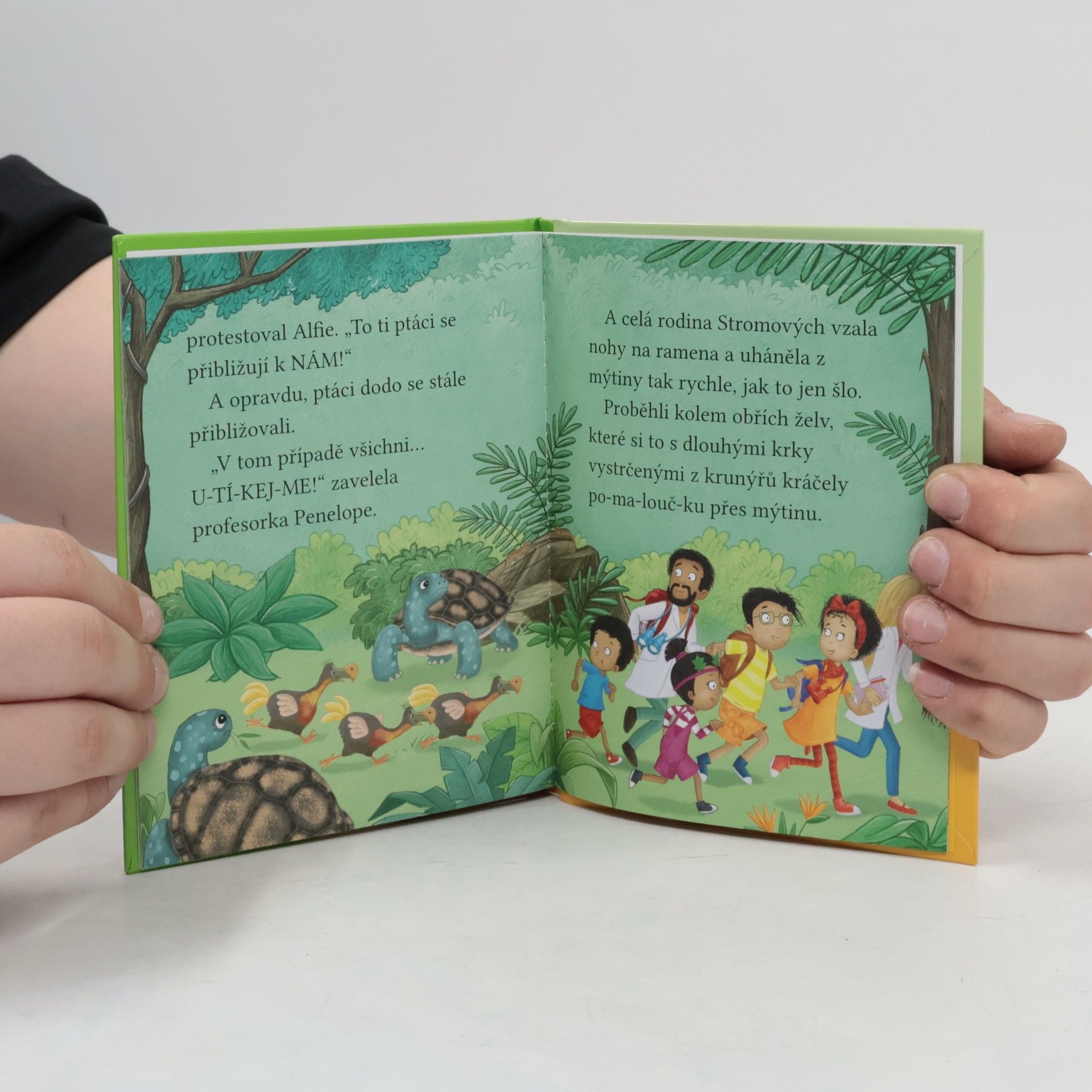 Cressida Cowell Stromovic dvojčata a jejich dobrodružství v divočině: Dvojčata objevují ptáka dodo