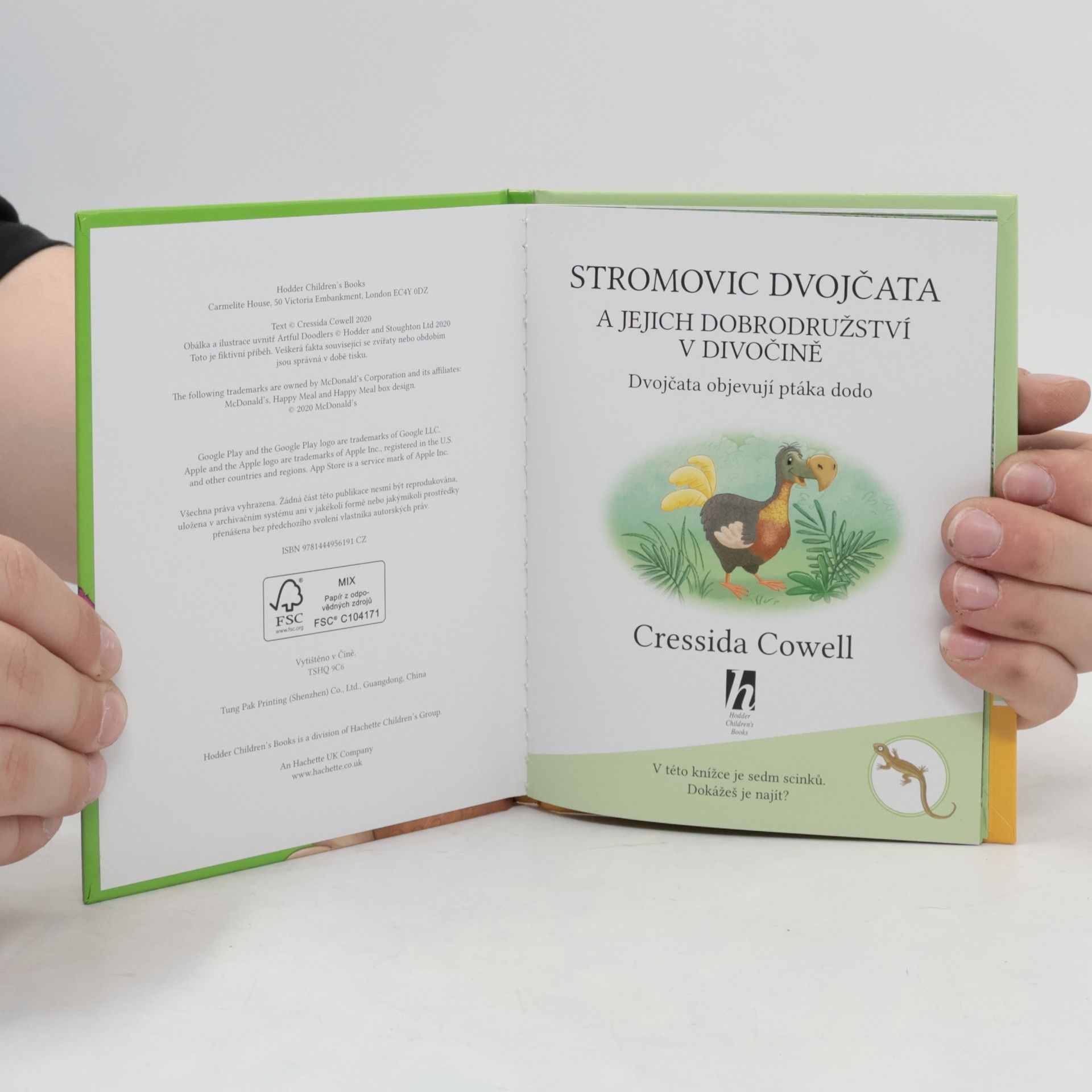 Cressida Cowell Stromovic dvojčata a jejich dobrodružství v divočině: Dvojčata objevují ptáka dodo