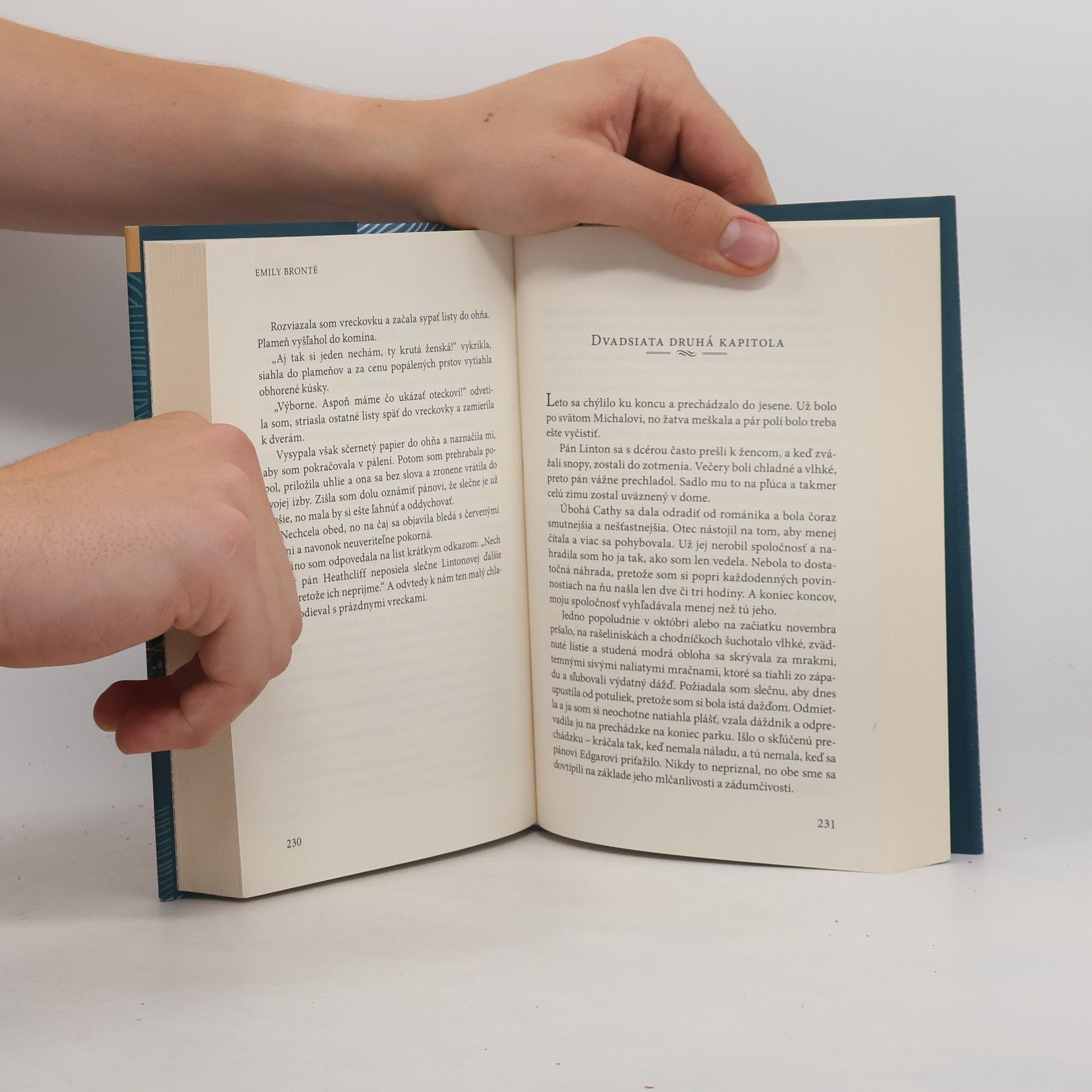 Emily Brontë Búrlivé výšiny