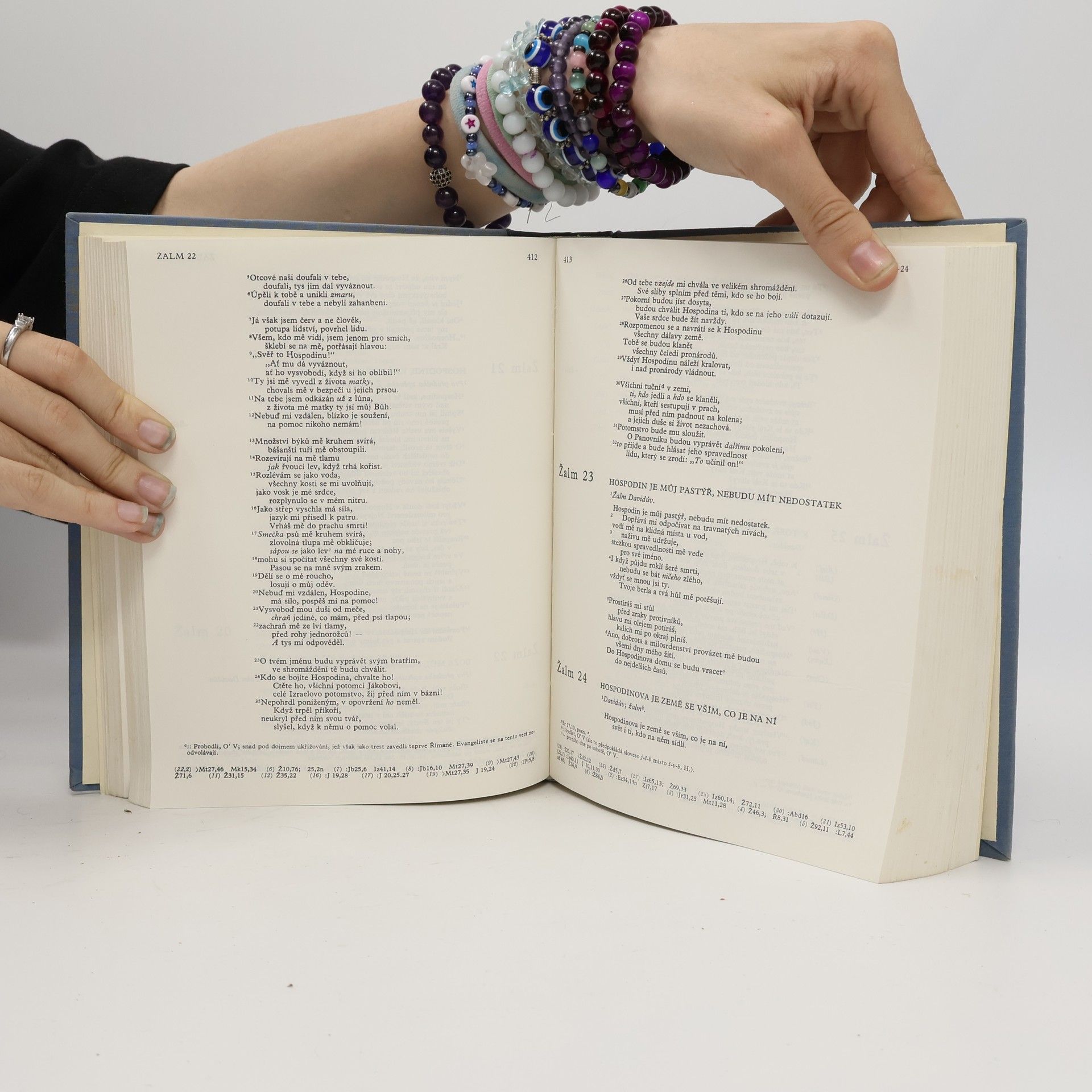 Collectif d'auteurs Bible