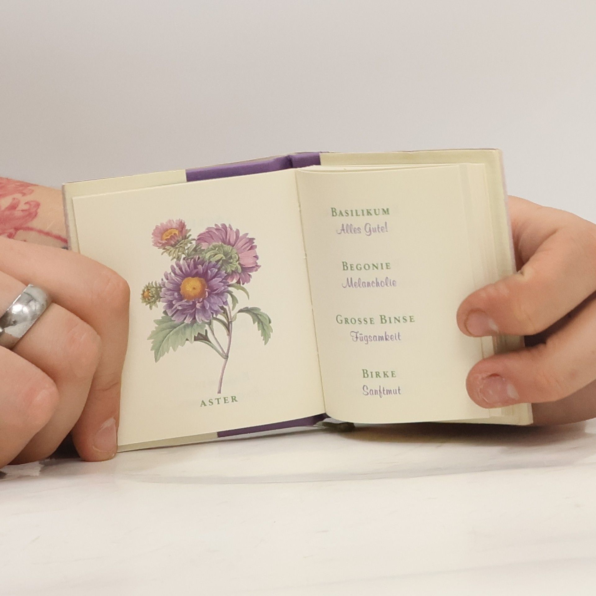 Angelika Koller Lass Blumen sprechen