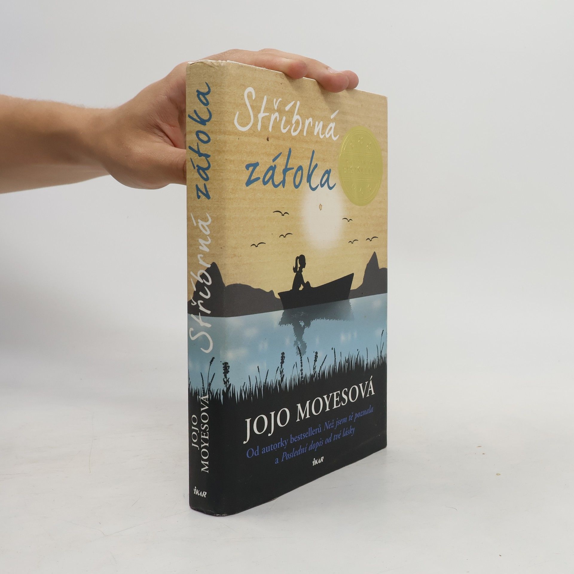 Jojo Moyes Stříbrná zátoka