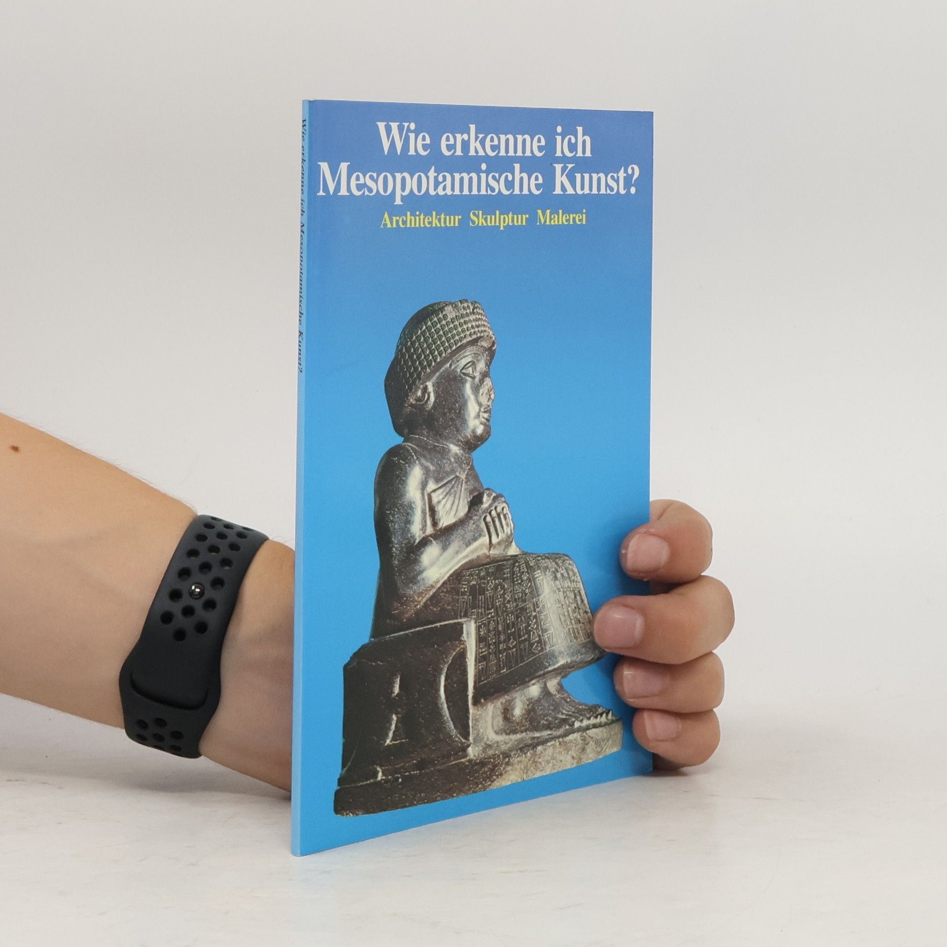 Flavio Conti Wie erkenne ich Mesopotamische Kunst?