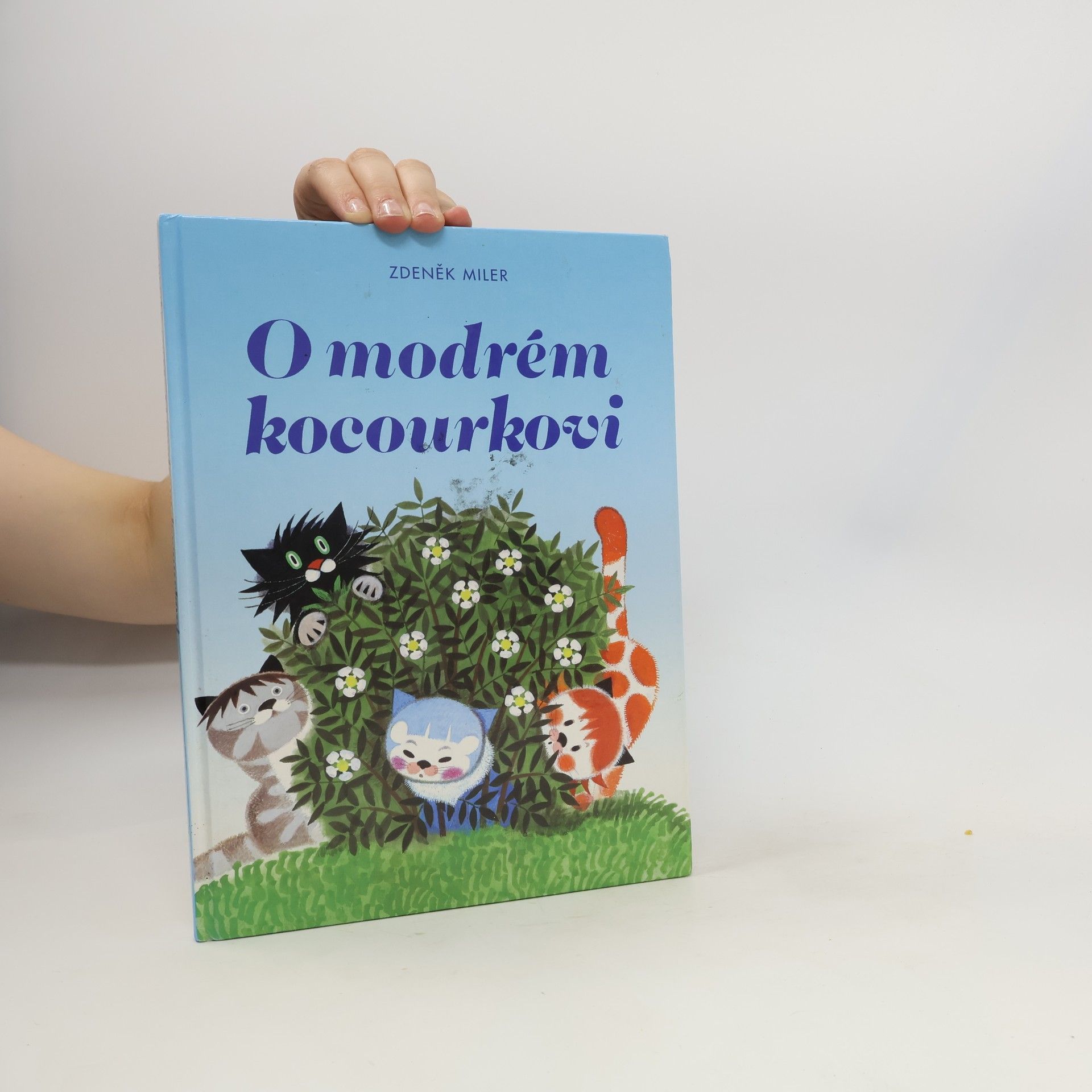 Marika Hellstrom Kennedy O modrém kocourkovi