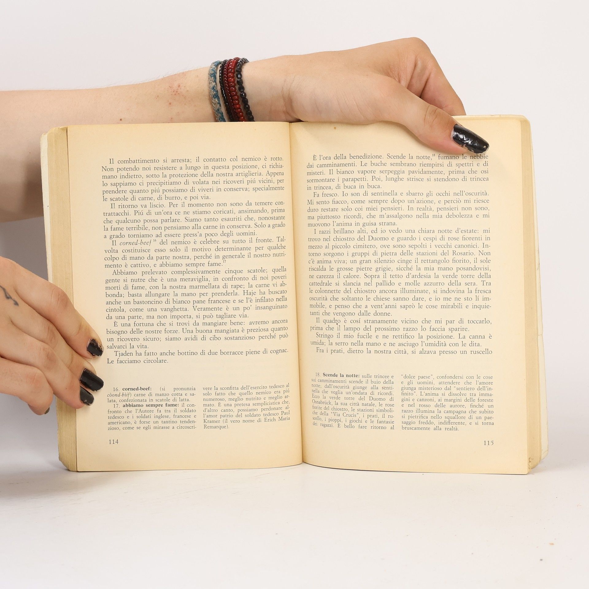 Erich Maria Remarque Niente di nuovo sul fronte occidentale