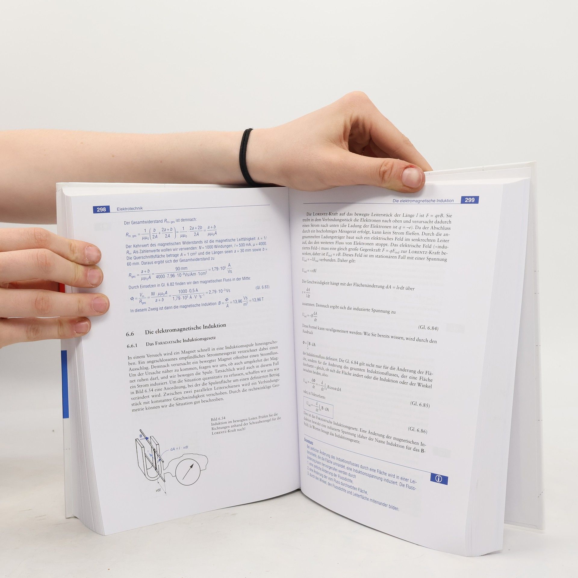 Frank Thuselt Vogel Studienmodule: Physik