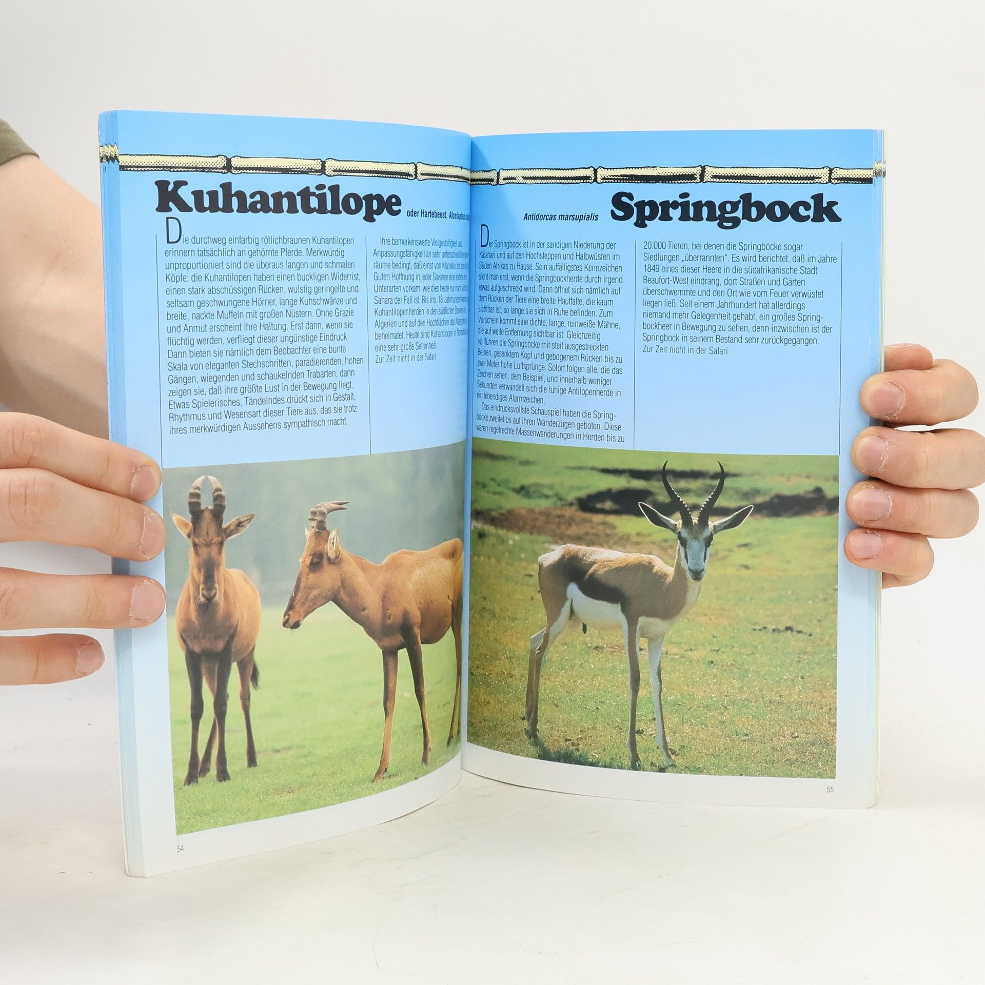 Various authors Serengeti park