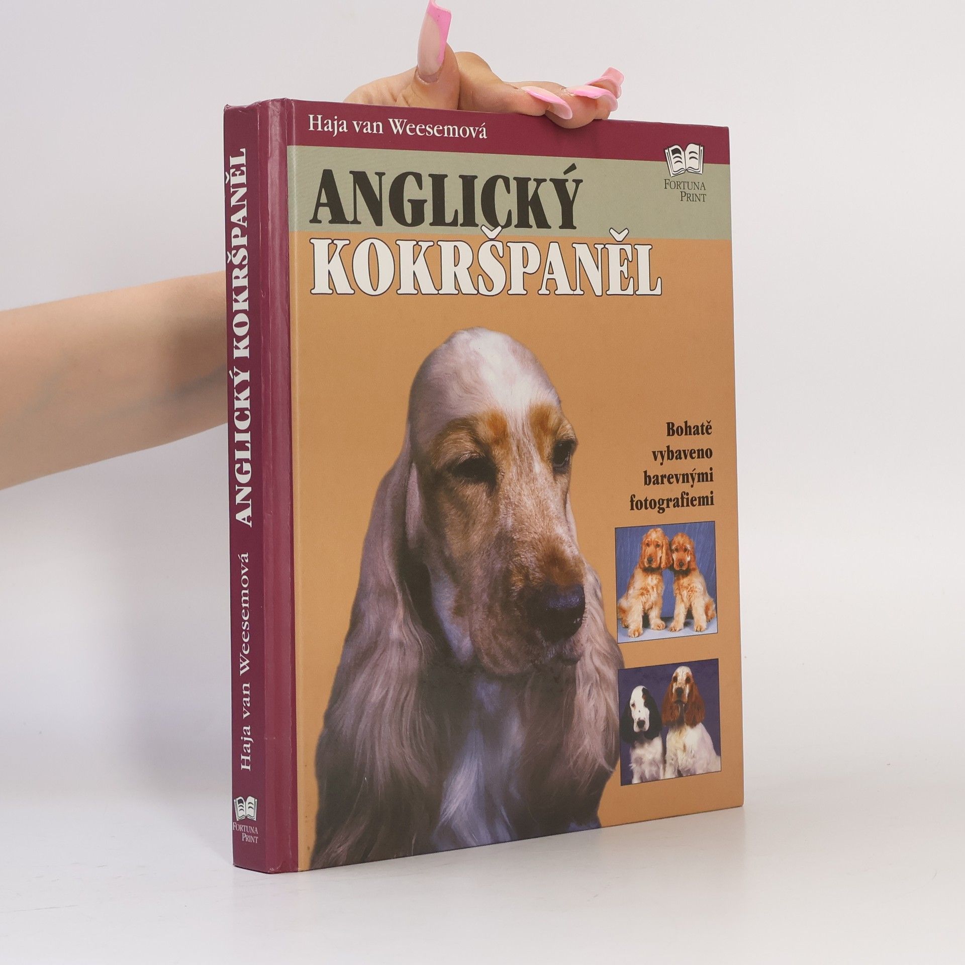 Haja van Wessem Anglický kokršpaněl