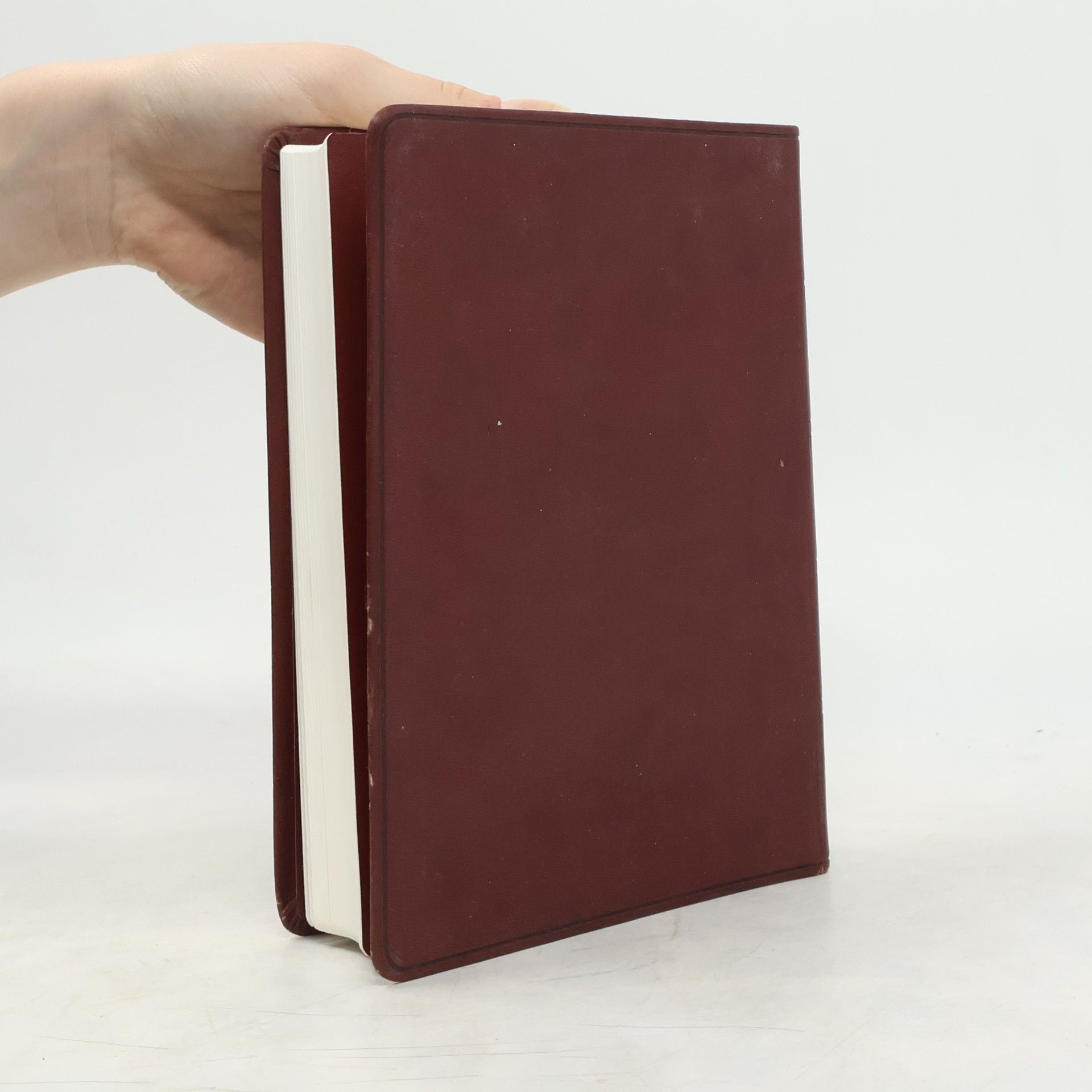 Autorenkollektiv Bible Kralická. Písmo svaté Starého a Nového zákona. Podle posledního vydání z roku 1613