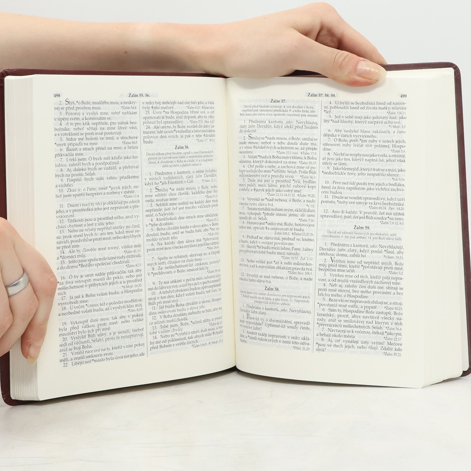 Autorenkollektiv Bible Kralická. Písmo svaté Starého a Nového zákona. Podle posledního vydání z roku 1613