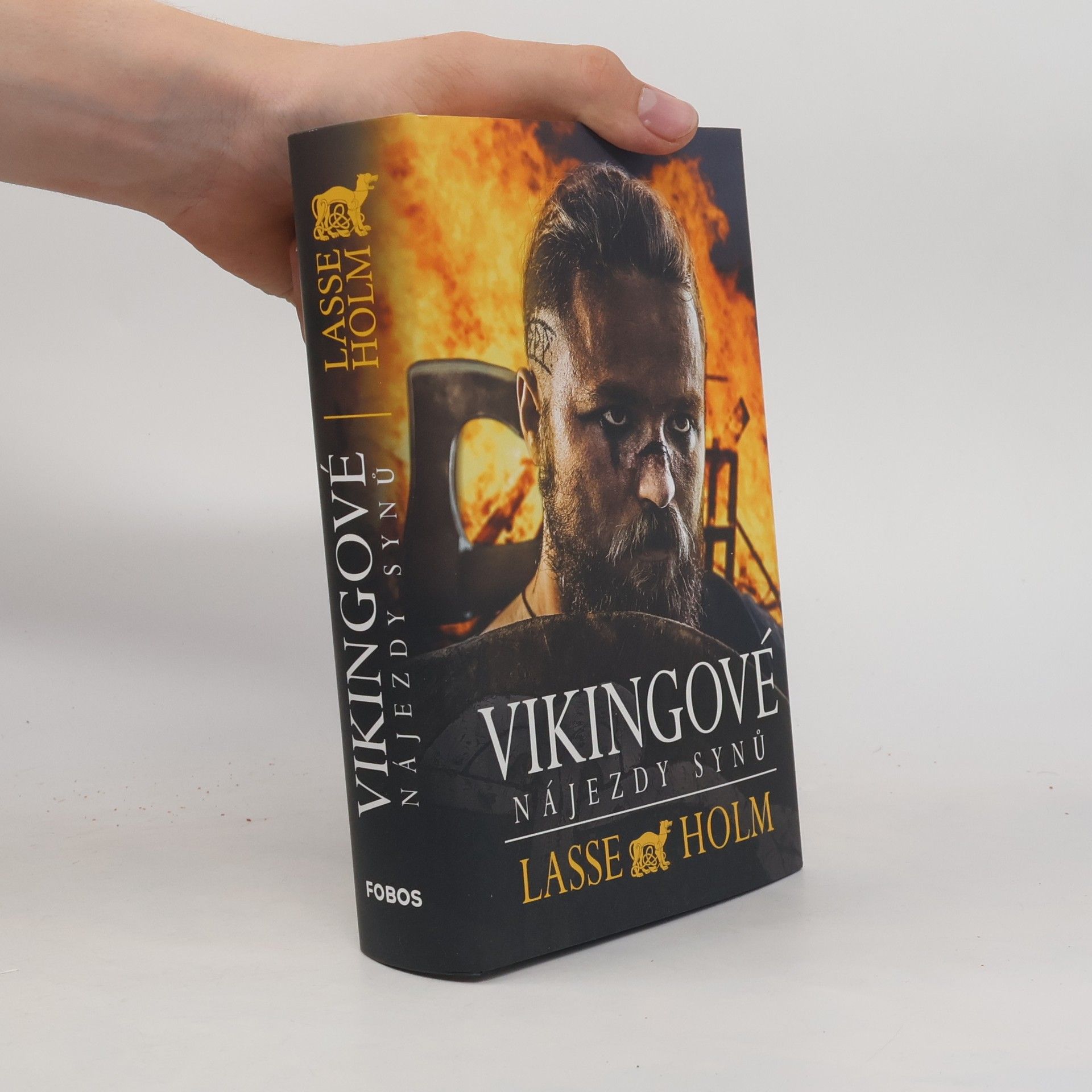 Lasse Holm Vikingové. Nájezdy synů