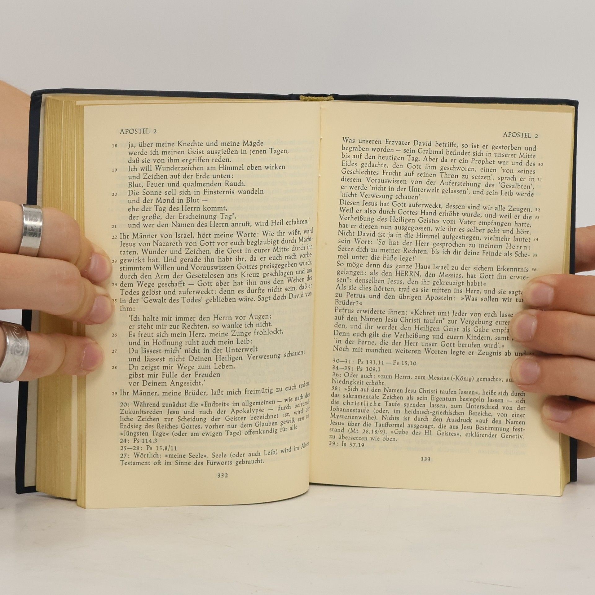 Autorenkollektiv Neues Testament